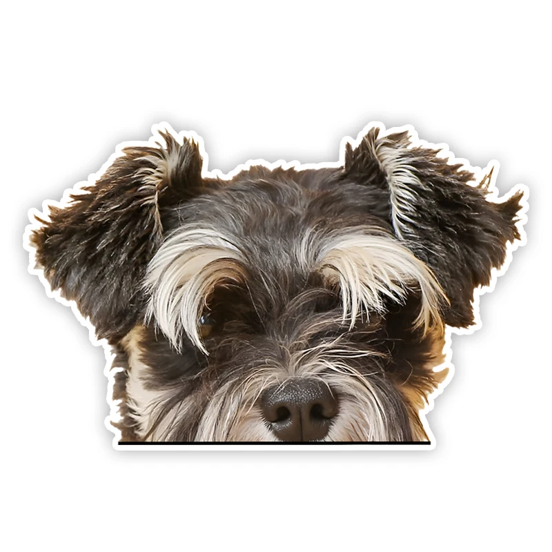 DK309# Mini Schnauzer Cute Dog Car Decals Bumper Window Stickers Car Accessories Waterproof Vinyl Material
DK309# Mini Schnauzer Cute Dog Car Decals Bumper Window Stickers Car Accessories Waterproof Vinyl Material