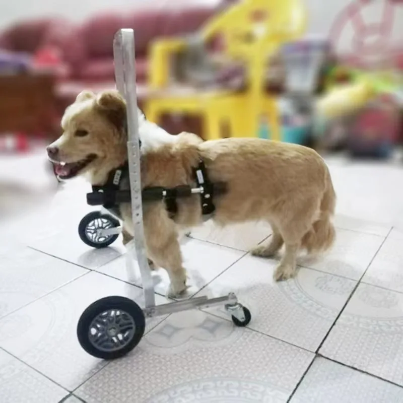 Tailored-Small Foreleg Wheelchair Front Leg Pet Wheelchair Auxiliary Bracket Disabled Injury Incapacitated Teddy Bomei Schnauzer
Tailored-Small Foreleg Wheelchair Front Leg Pet Wheelchair Auxiliary Bracket Disabled Injury Incapacitated Teddy Bomei Schnauzer