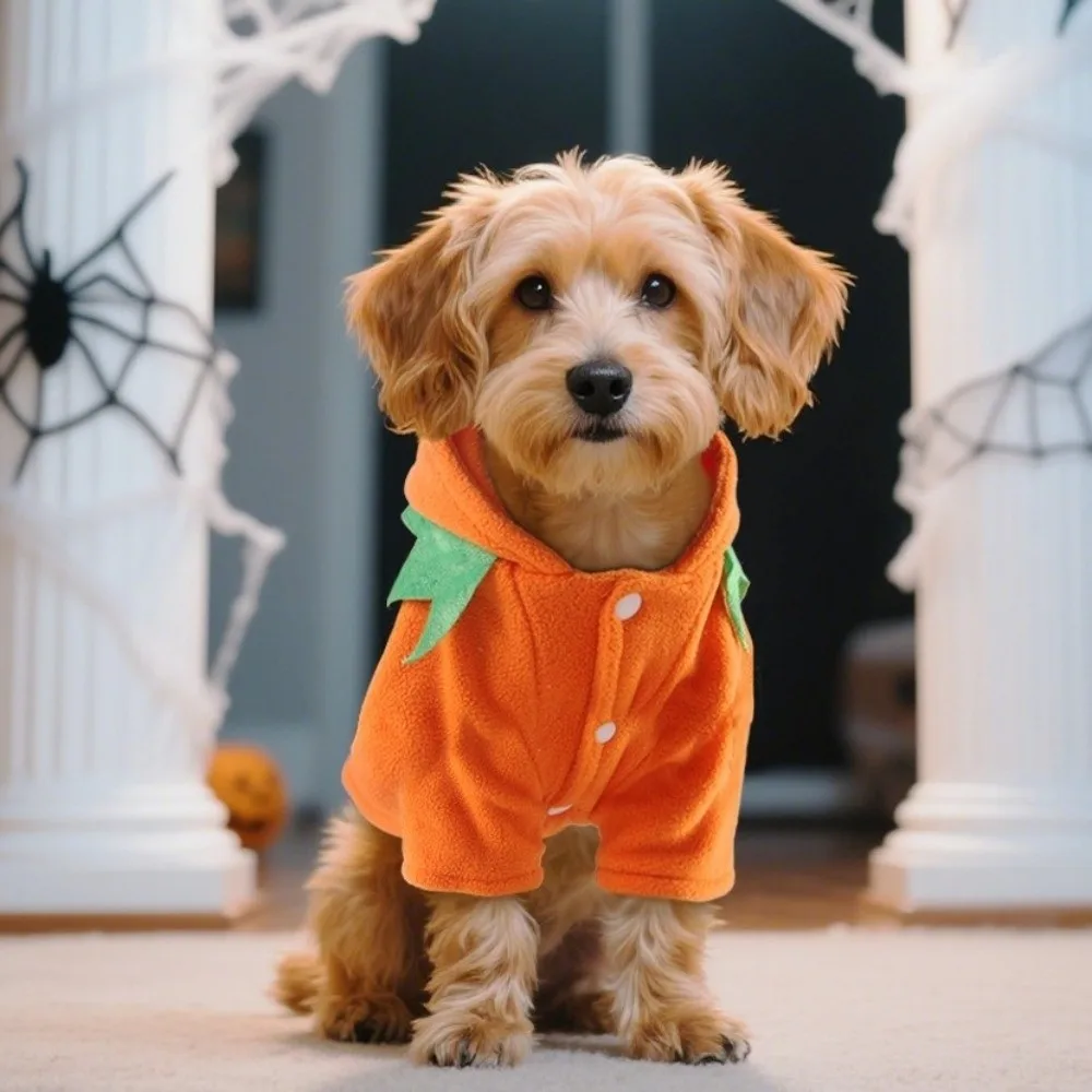 Party Costume Warm Fleece Pumpkin Dog Costume Orange Comfortable Fit Halloween Dog Clothes Breathable Dog Hoodie Halloween Party
Party Costume Warm Fleece Pumpkin Dog Costume Orange Comfortable Fit Halloween Dog Clothes Breathable Dog Hoodie Halloween Party