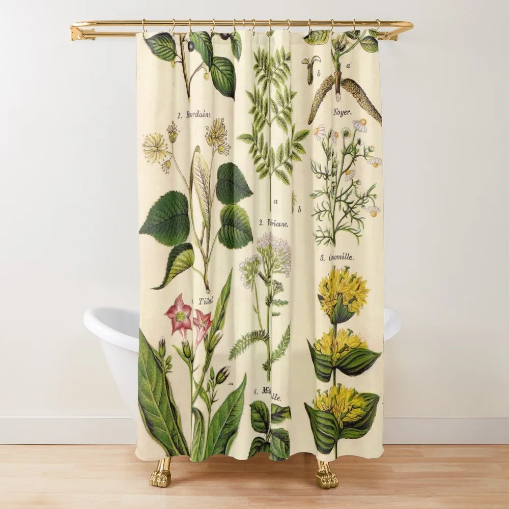 French botanical illustration - Henri Coupin - Plantes medicinales planche 1 Shower Curtain Funny Shower Bathroom Deco Curtain 
French botanical illustration - Henri Coupin - Plantes medicinales planche 1 Shower Curtain Funny Shower Bathroom Deco Curtain