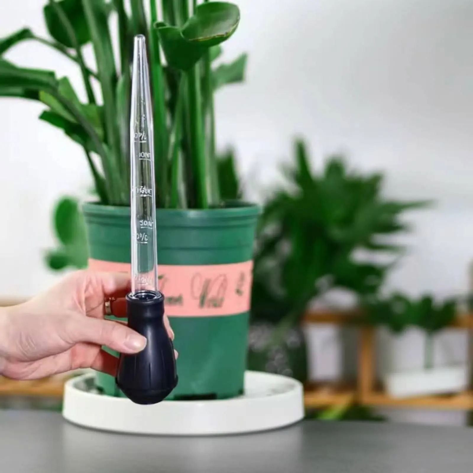 Plant Tray Water Remover Portable Large Dropper Pipette Bulb Baster Easy to Use for Aquatic Habitat Owners
Plant Tray Water Remover Portable Large Dropper Pipette Bulb Baster Easy to Use for Aquatic Habitat Owners