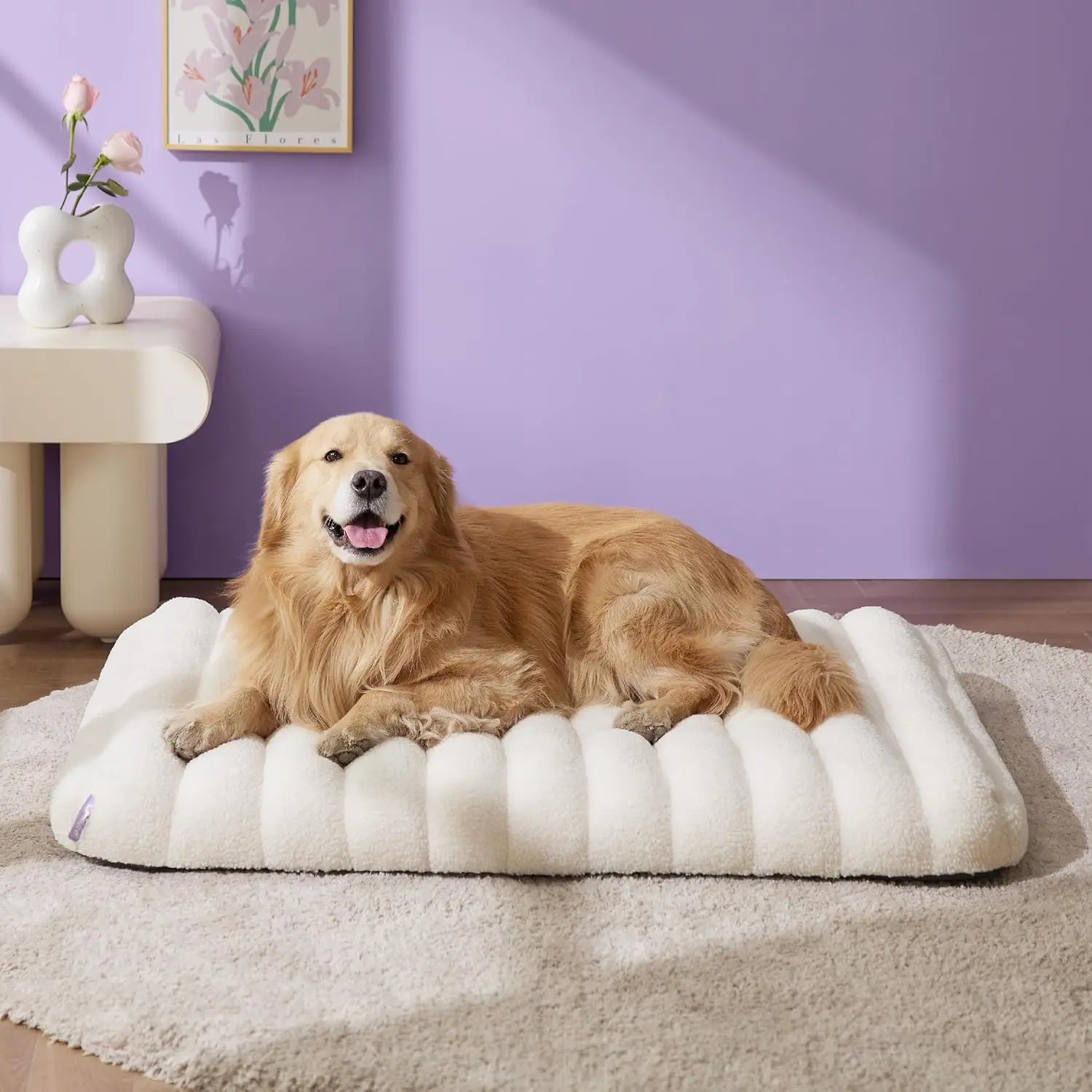 Orthopedic Dog Bed for Extra Large Dogs, Waterproof Chic Flat Pet Bed with Removable Washable Cover, Egg Crate Foam Mat, 44"x32", Cream
Orthopedic Dog Bed for Extra Large Dogs, Waterproof Chic Flat Pet Bed with Removable Washable Cover, Egg Crate Foam Mat, 44"x32", Cream