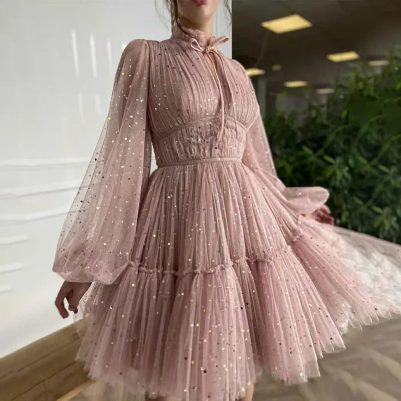 Doris Fanny 2024 Pink Starry Tulle Mini Prom Dresses High Neck Long Sleeves Mini Dresses Pleated Tiered A-Line Prom Gowns
Doris Fanny 2024 Pink Starry Tulle Mini Prom Dresses High Neck Long Sleeves Mini Dresses Pleated Tiered A-Line Prom Gowns