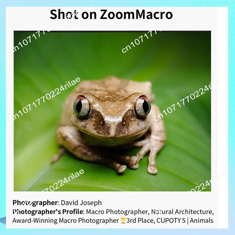 A17Z For APEXEL-ZM100MM Lens Zoom Macro 20X Lens Telephoto Macro Magnifier Professional Photography Lens For Iphone
A17Z For APEXEL-ZM100MM Lens Zoom Macro 20X Lens Telephoto Macro Magnifier Professional Photography Lens For Iphone