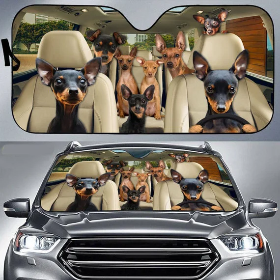 Миниатюрный автомобильный солнцезащитный козырек Pinscher, автомобильный декор для собак, ветровое стекло для собак, подарок для любителей собак, автомобильный козырек для собак, подарок для мамы, подарок для папы
Миниатюрный автомобильный солнцезащитный козырек Pinscher, автомобильный декор для собак, ветровое стекло для собак, подарок для любителей собак, автомобильный козырек для собак, подарок для мамы, подарок для папы