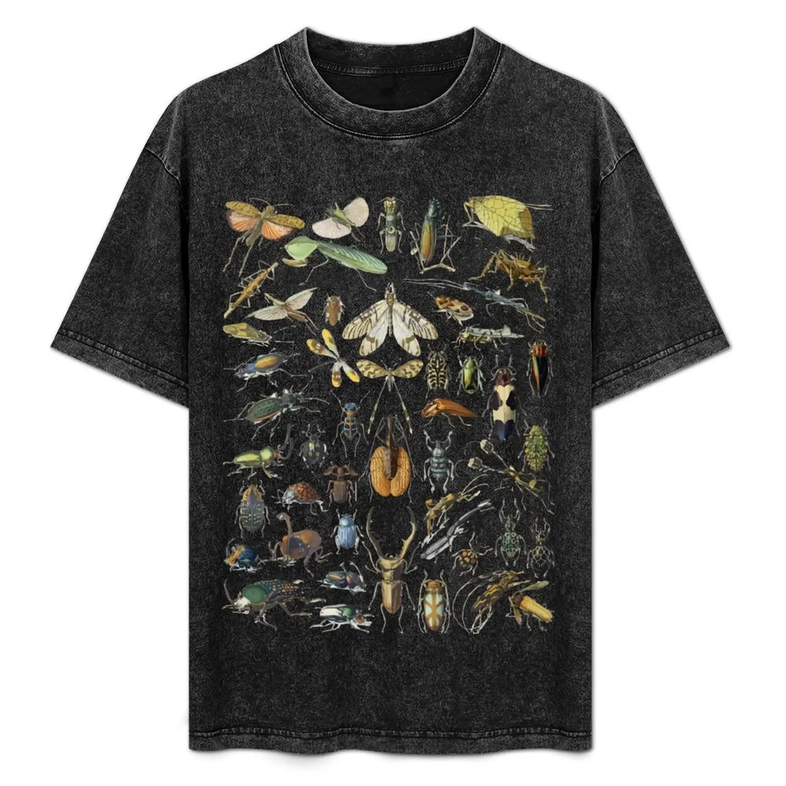 Adolphe Millot Insects Spider T-Shirt custom t-shirts new gifts and t-shirts anime shirts men
Adolphe Millot Insects Spider T-Shirt custom t-shirts new gifts and t-shirts anime shirts men