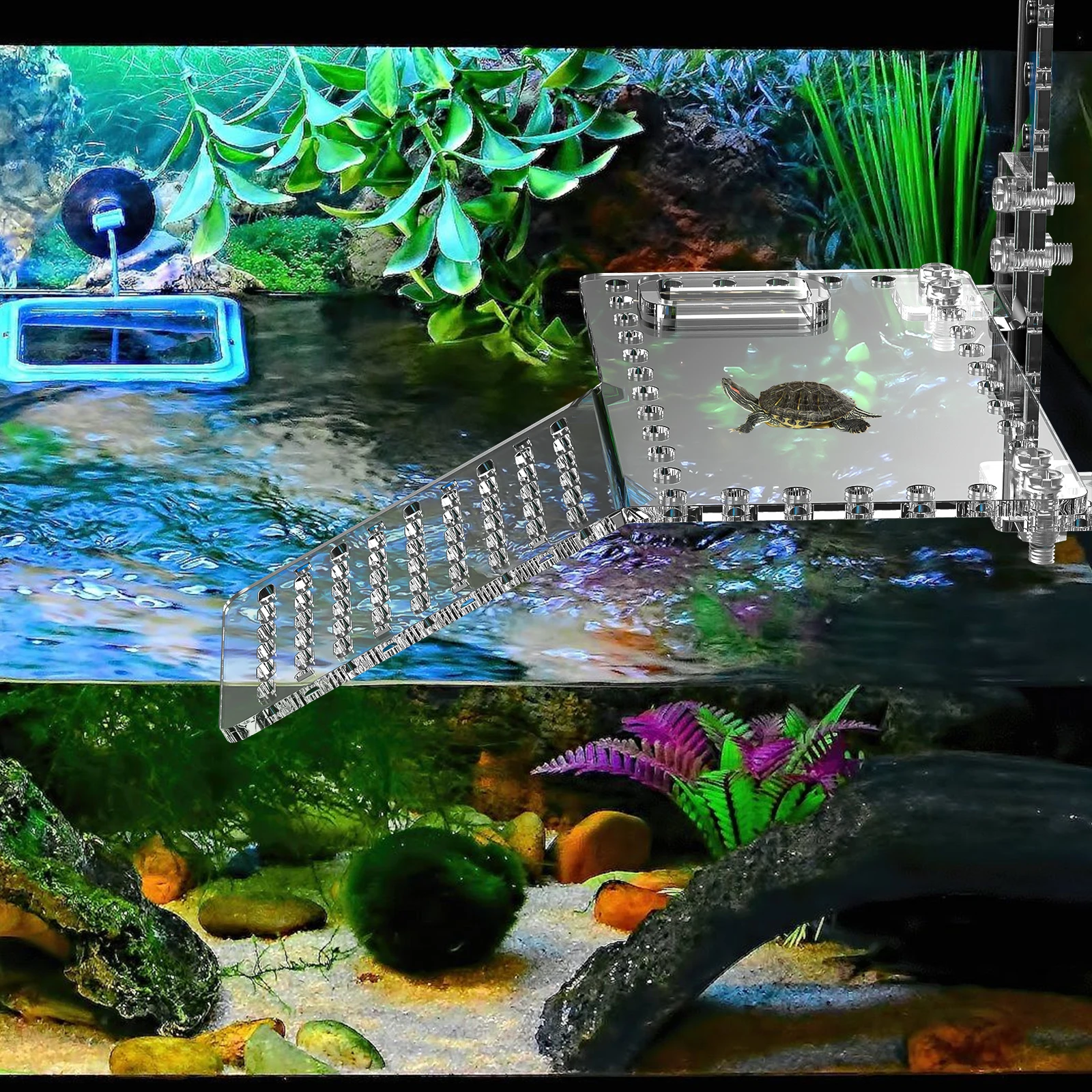 Acrylic Turtle Basking Platform S Size High Water Floating Island Hanging Terrace Aquarium Tank Accessory Pet Enjoyment
Acrylic Turtle Basking Platform S Size High Water Floating Island Hanging Terrace Aquarium Tank Accessory Pet Enjoyment