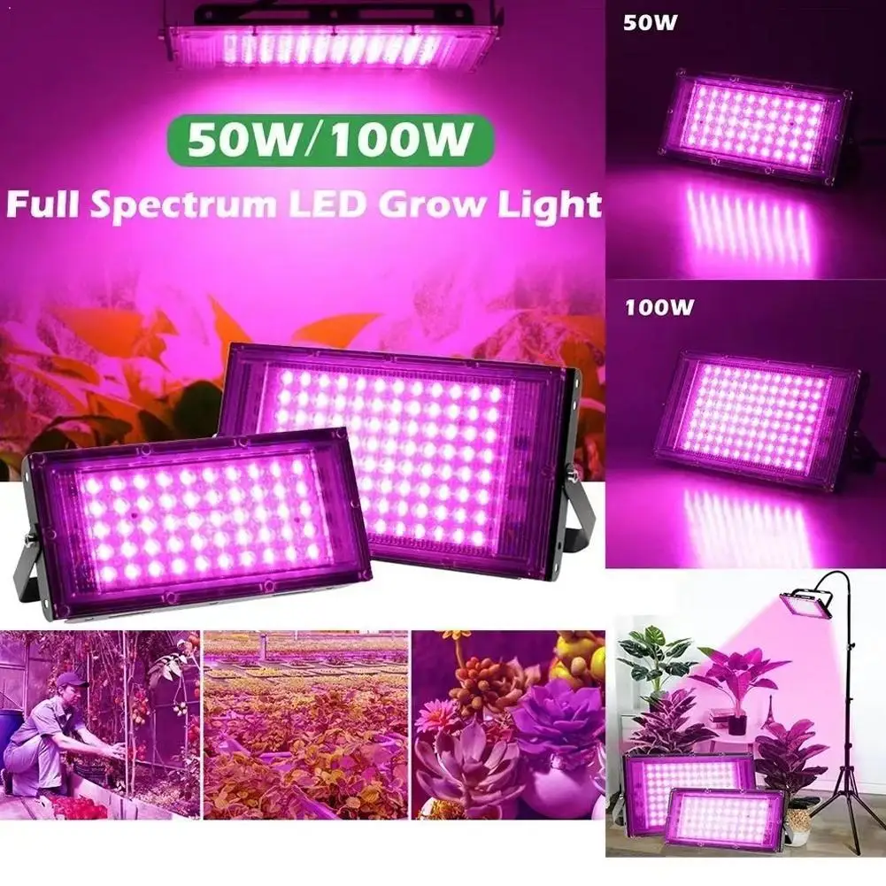 Plant Growth Lamp Seedling Planting Supplement Light Plant Calcium Supplement Full Spectrum LED Plug Board
Plant Growth Lamp Seedling Planting Supplement Light Plant Calcium Supplement Full Spectrum LED Plug Board