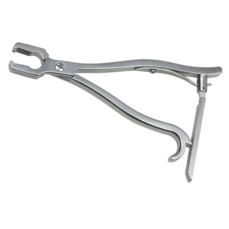 Orthopedics Surgical Kern Bone Holding Forceps Serrated Jaws Reduction Forceps Veterinary Orthopedic Instruments
Orthopedics Surgical Kern Bone Holding Forceps Serrated Jaws Reduction Forceps Veterinary Orthopedic Instruments