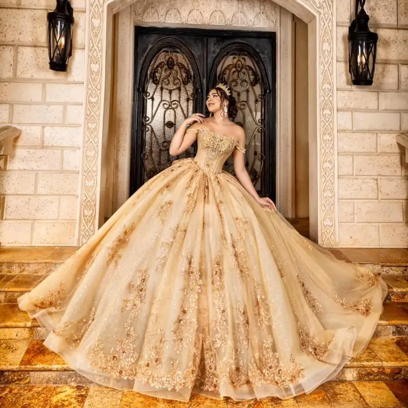 Customized Shiny champagne gold Quinceanera Dress Lace crystal Tull Lace 3D flower vestidos de 15 Quinceanera
Customized Shiny champagne gold Quinceanera Dress Lace crystal Tull Lace 3D flower vestidos de 15 Quinceanera 
