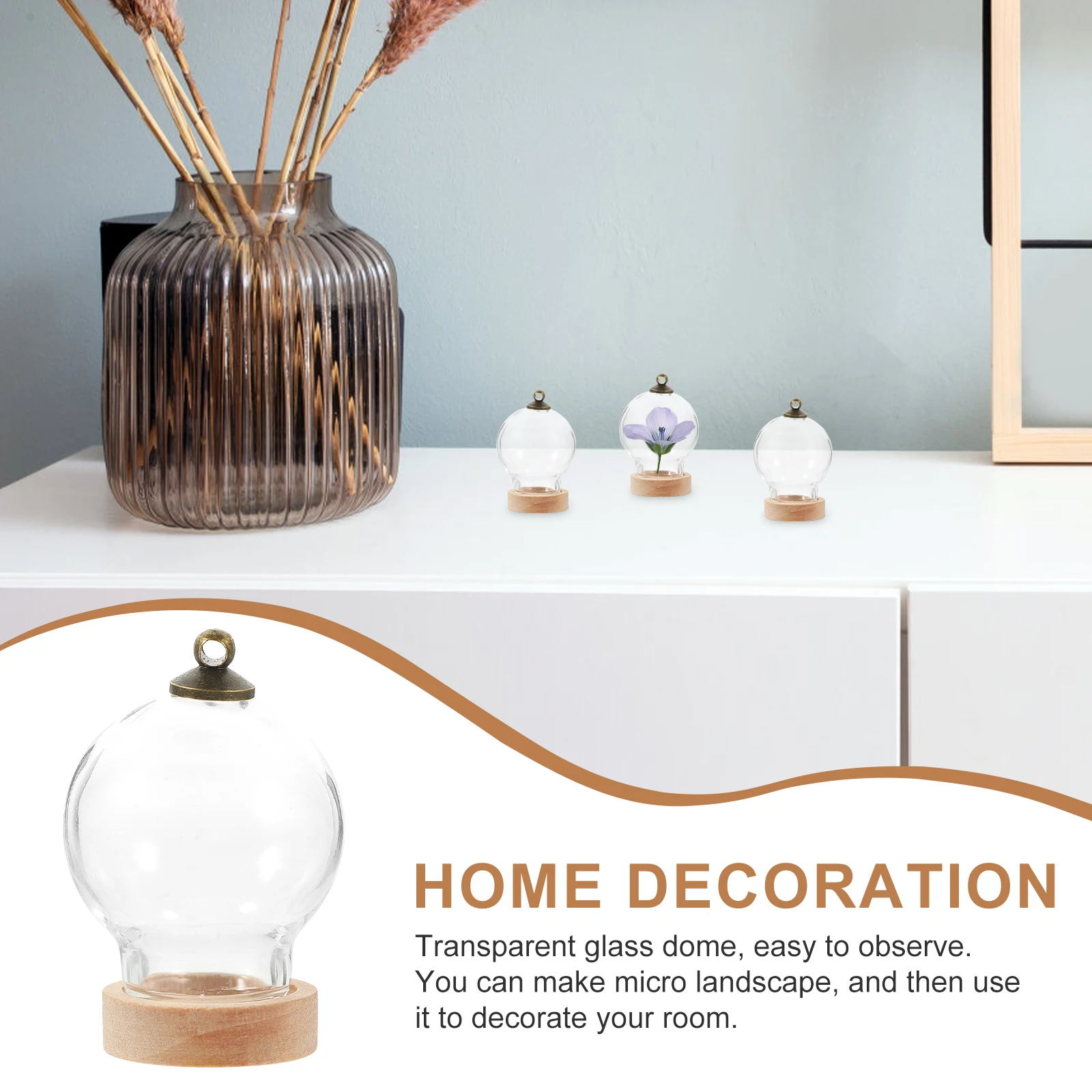 3Pcs Glass Dome Display Case Transparent Base Mini Flower Display Cloche for Micro Landscape Home Decoration
3Pcs Glass Dome Display Case Transparent Base Mini Flower Display Cloche for Micro Landscape Home Decoration