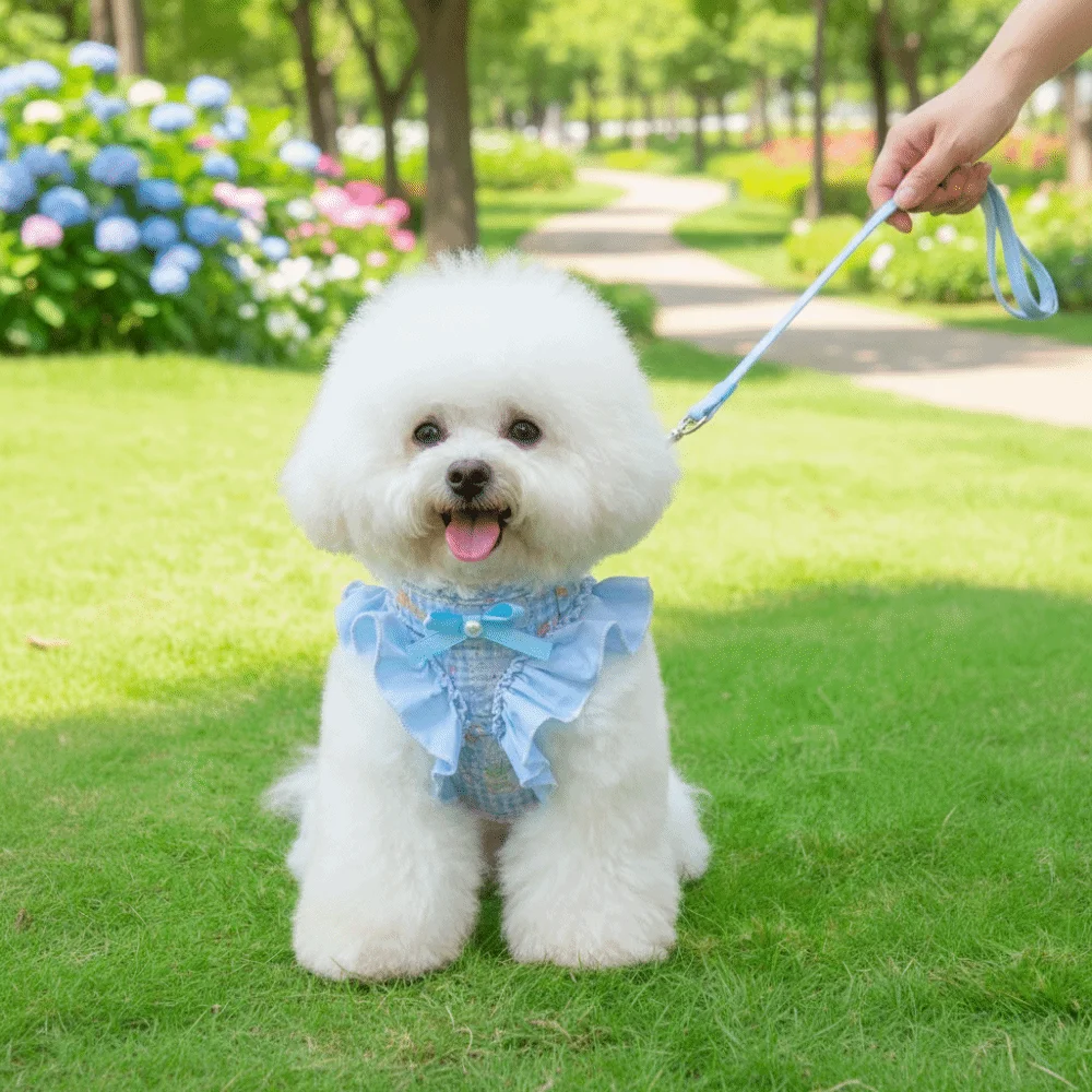 Adjustable Dog Harness and Leash Escape-Proof Breathable Dog Chest Strap Comfortable Flower Pattern Pet Traction Rope
Adjustable Dog Harness and Leash Escape-Proof Breathable Dog Chest Strap Comfortable Flower Pattern Pet Traction Rope