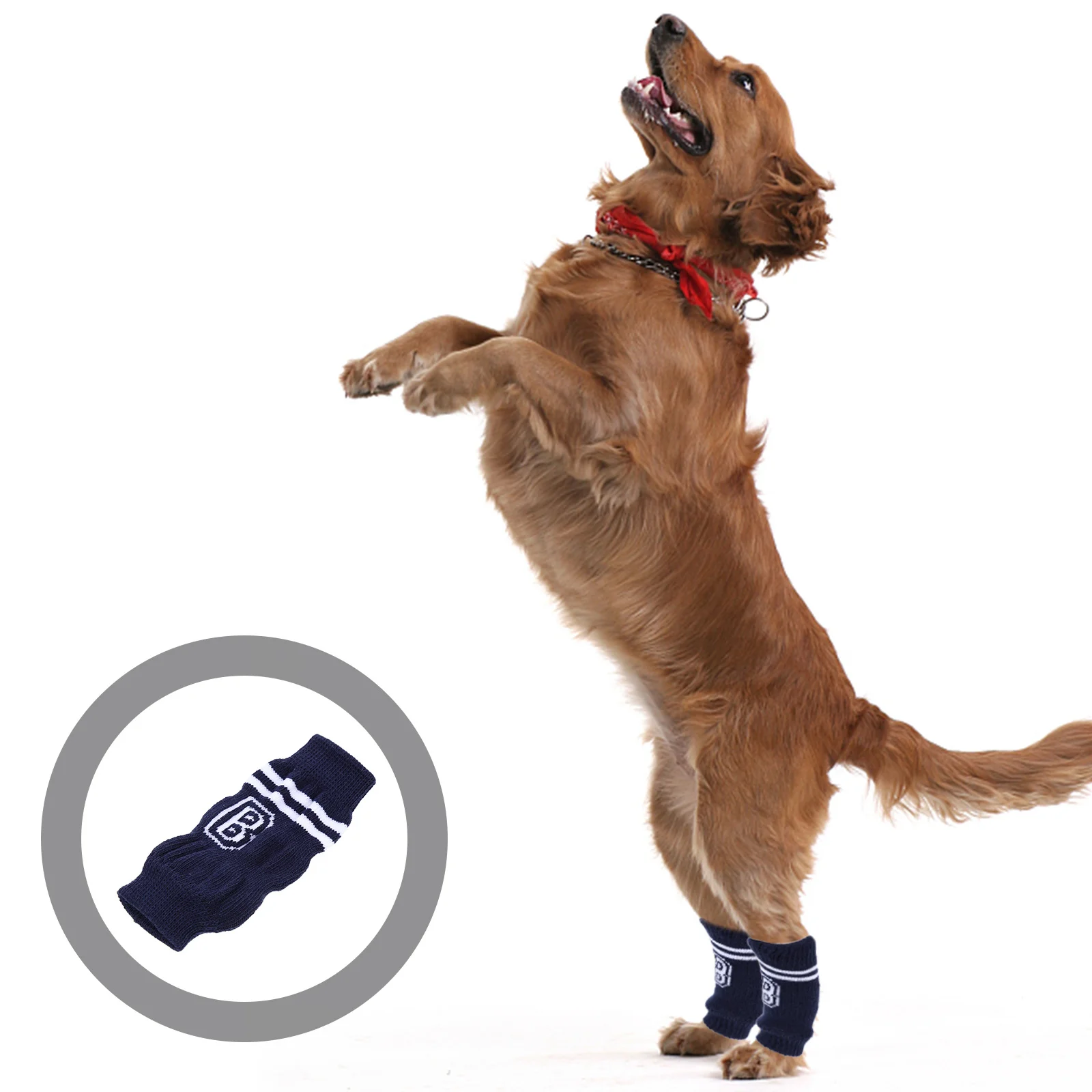 4Pcs Dog Leg Warmers Non-Slip Pet Socks for Small Dogs Cozy Leg Covers Washable Comfortable Fit Stylish Pattern Joint Protection
4Pcs Dog Leg Warmers Non-Slip Pet Socks for Small Dogs Cozy Leg Covers Washable Comfortable Fit Stylish Pattern Joint Protection