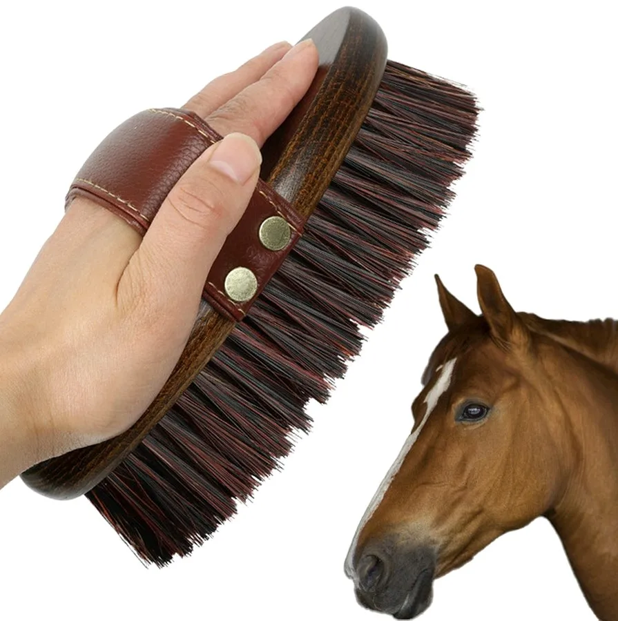 Factory Wholesale Custom Logo Horse Care Products Wooden Horse Body Brush Horse Grooming Brush
Factory Wholesale Custom Logo Horse Care Products Wooden Horse Body Brush Horse Grooming Brush