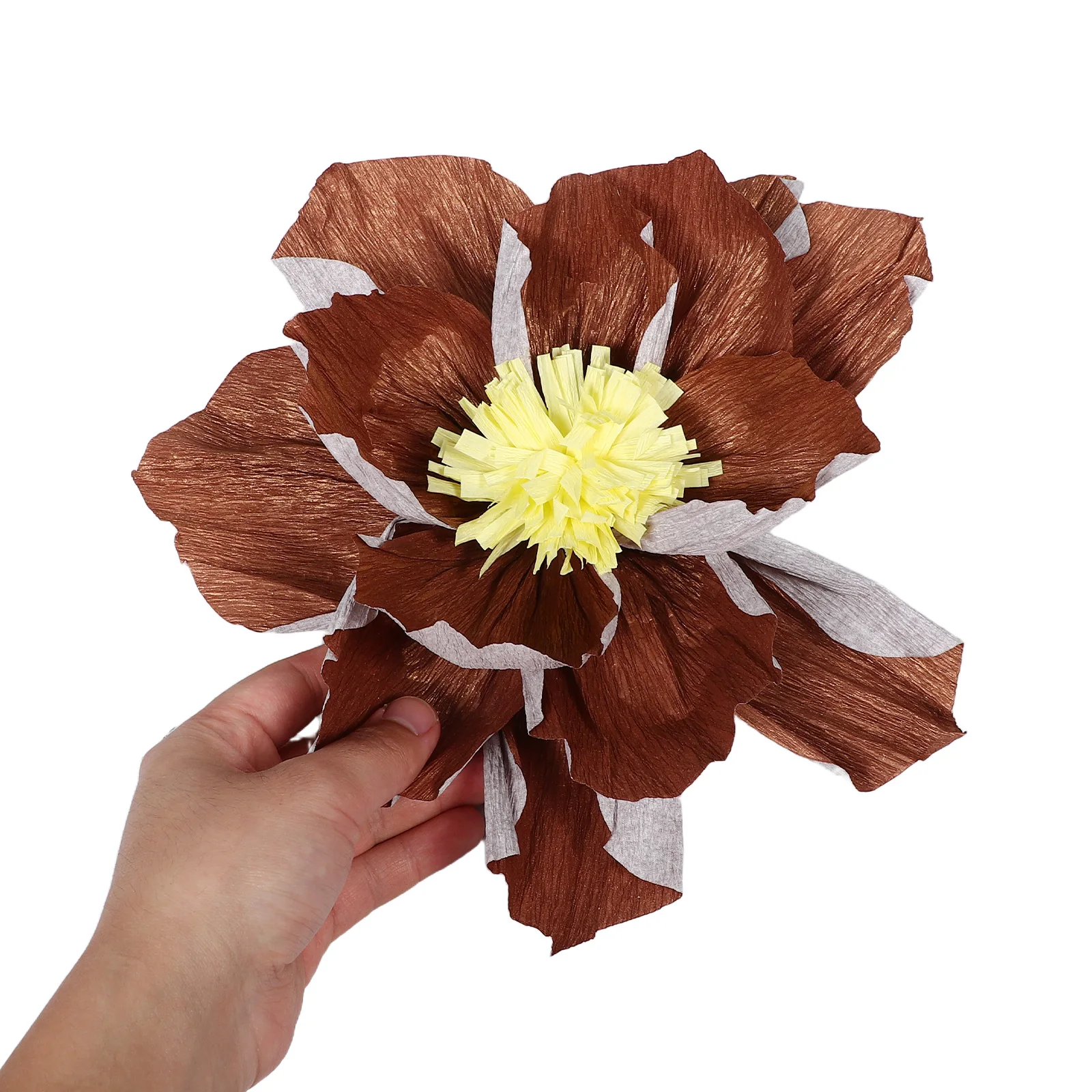 15 Pcs Three-dimensional Paper Flower Decoration Crepe Flowers Backdrop Tissue Decorations for Party Wall Decorate Giant
15 Pcs Three-dimensional Paper Flower Decoration Crepe Flowers Backdrop Tissue Decorations for Party Wall Decorate Giant