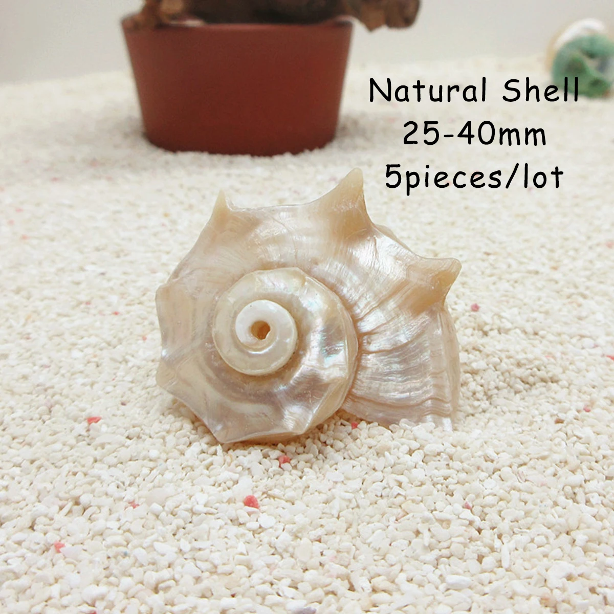 5pieces/lot Natural White Shell Pendant for DIY Women Men Necklace Earrings Exquisite Jewelry Making Accessories 25-40mm
5pieces/lot Natural White Shell Pendant for DIY Women Men Necklace Earrings Exquisite Jewelry Making Accessories 25-40mm