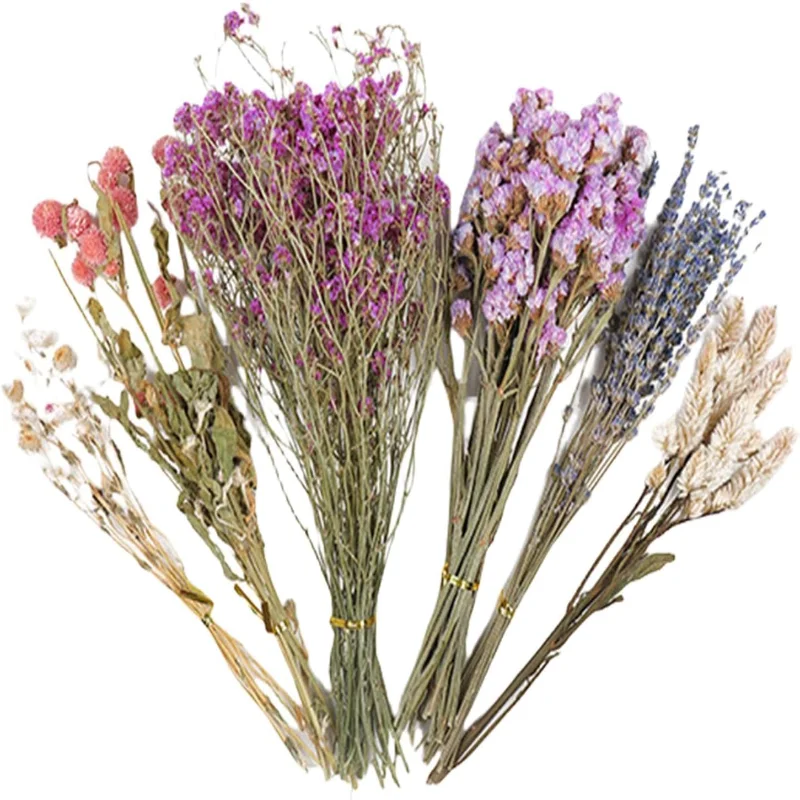 Hamster Hay Flowers Bedding, Dried Flowers for Hamsters, Hamster Litter Flowers, Accessories for Hamsters, Naturally Dried Flowe
Hamster Hay Flowers Bedding, Dried Flowers for Hamsters, Hamster Litter Flowers, Accessories for Hamsters, Naturally Dried Flowe