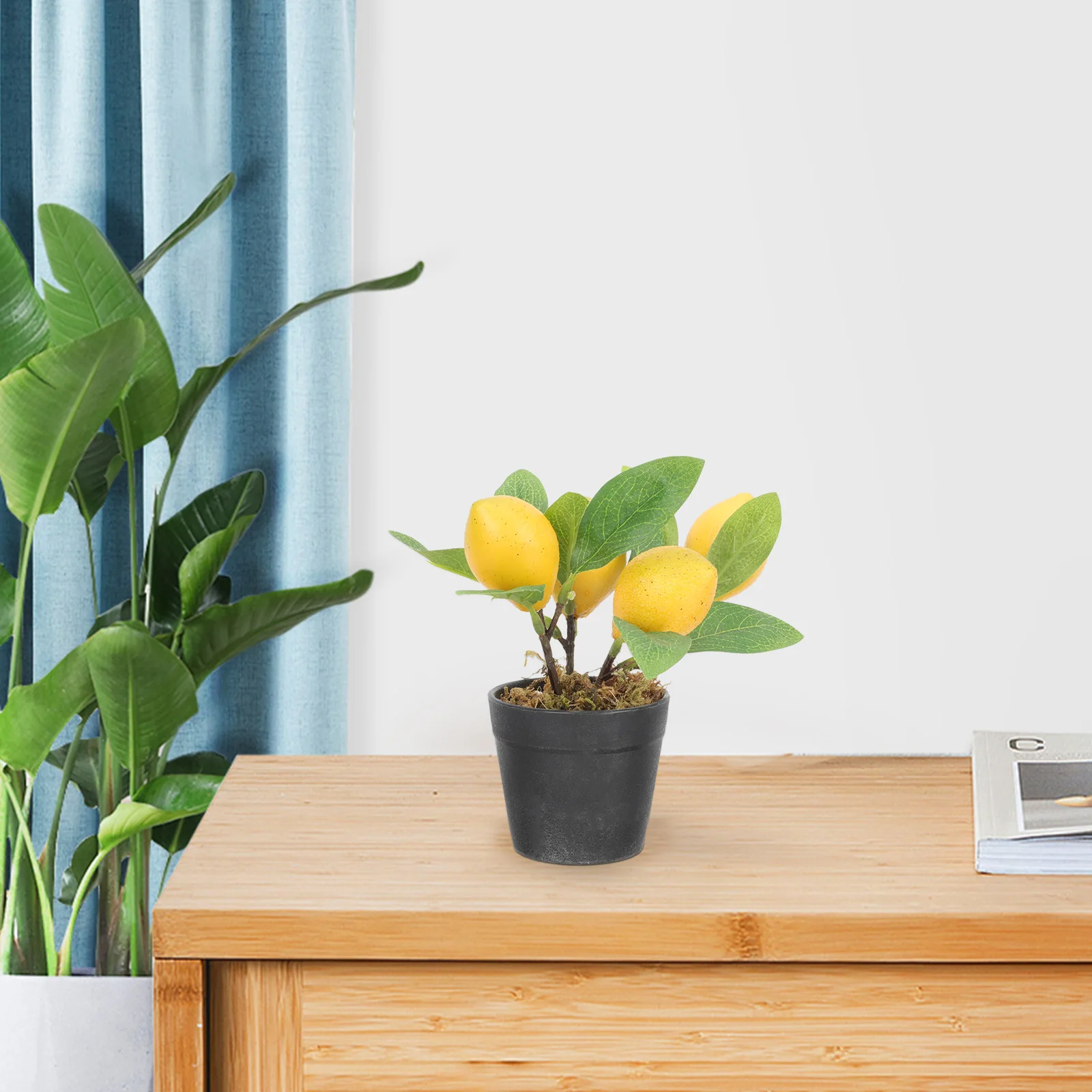 Plastic Simulation Decorative Artificial Bonsai Lemon Kitchen Decor Fake Lemon nament Long Lasting Realistic Style Stress Relief
Plastic Simulation Decorative Artificial Bonsai Lemon Kitchen Decor Fake Lemon nament Long Lasting Realistic Style Stress Relief