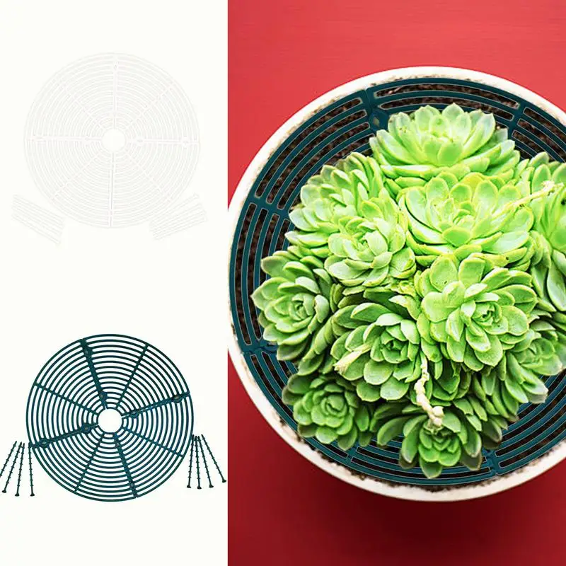 Plant Protector Multifunctional Plant Protection Pot Cuttable Flexible Non-slip Soil Cover Suitable for Flower Pot Hollow Design
Plant Protector Multifunctional Plant Protection Pot Cuttable Flexible Non-slip Soil Cover Suitable for Flower Pot Hollow Design