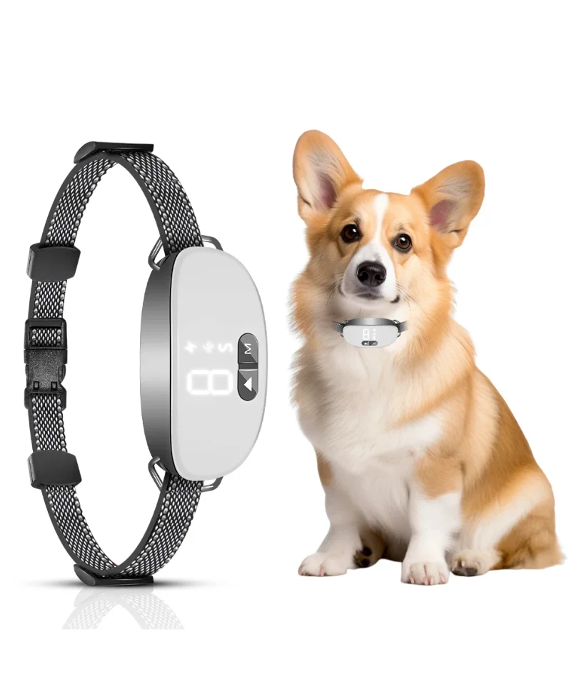 Новый умный ошейник для собак, перезаряжаемый умный ошейник против лая, ошейник для дрессировки с регулируемой чувствительностью
Новый умный ошейник для собак, перезаряжаемый умный ошейник против лая, ошейник для дрессировки с регулируемой чувствительностью
