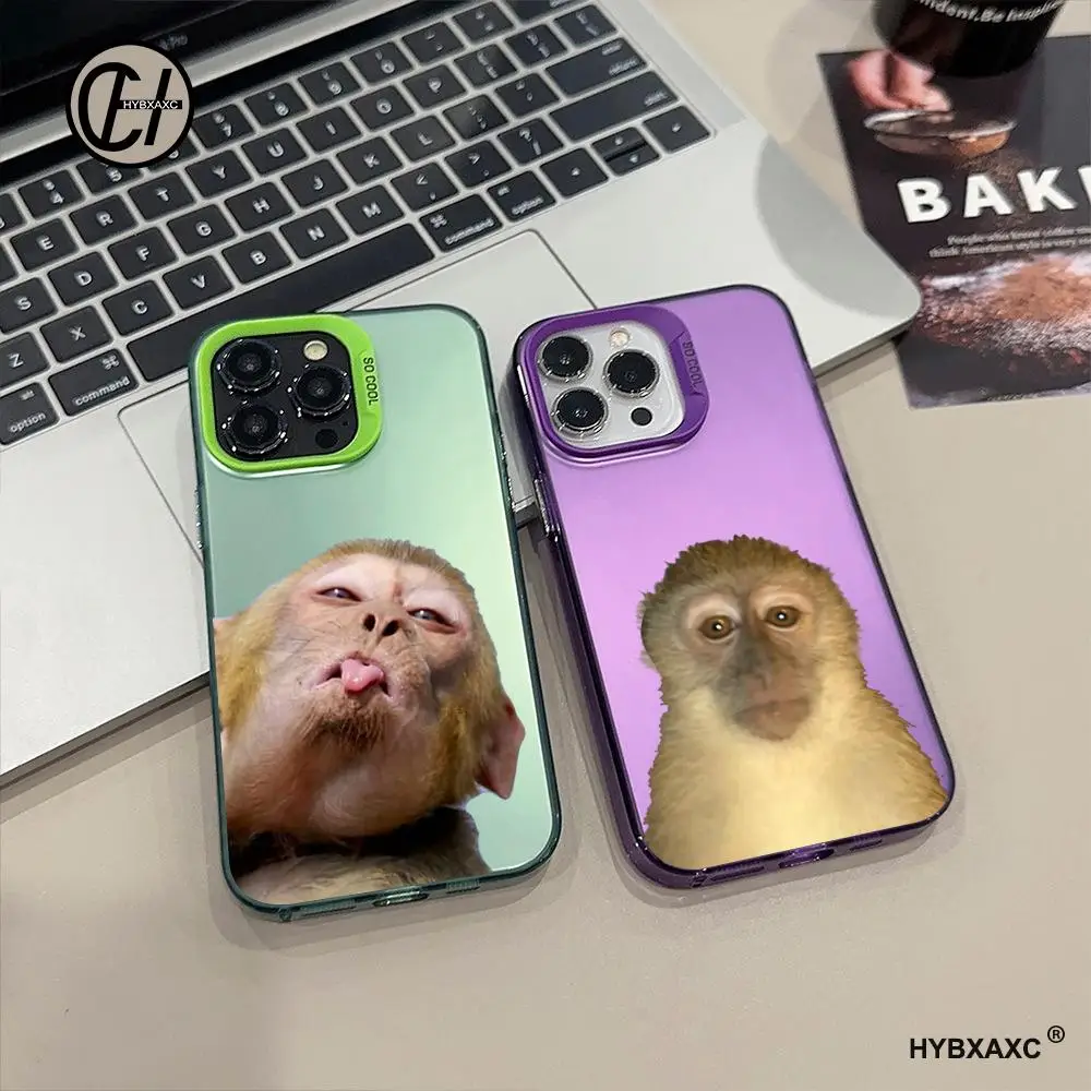 Cute Funny Monkey Phone Case FOR IPhone 17 16 15 Pro MAX 14 13 12 16e 15Pro Plus Shell 17Air Silver Shell IMD Covers
Cute Funny Monkey Phone Case FOR IPhone 17 16 15 Pro MAX 14 13 12 16e 15Pro Plus Shell 17Air Silver Shell IMD Covers