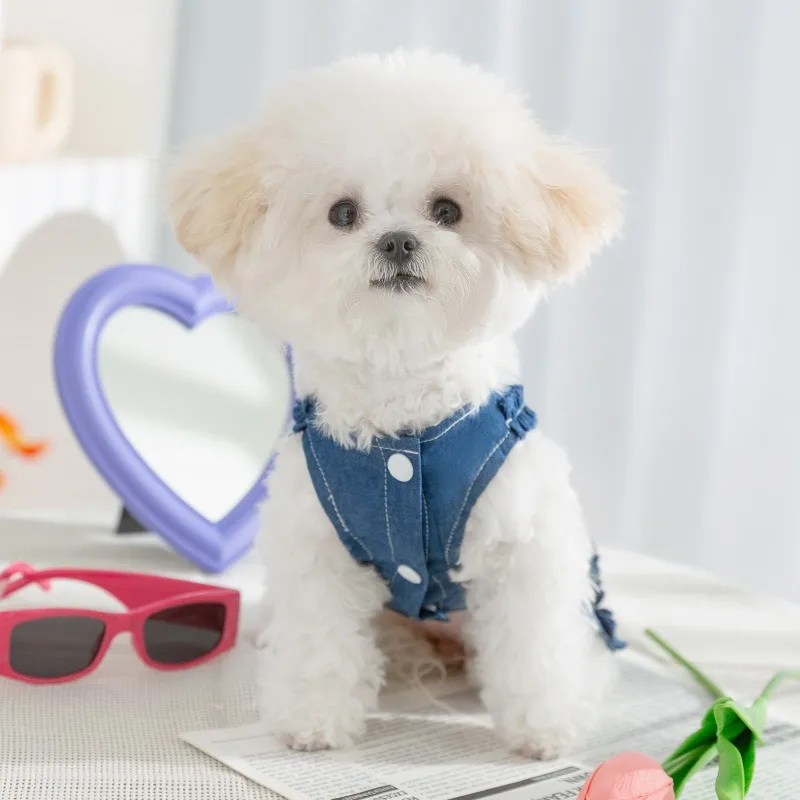 Pet Dog Denim Skirt Bichon Summer Clothes Thin Breathable Dress Small Dog Pullover Solid Color Dog Clothes
Pet Dog Denim Skirt Bichon Summer Clothes Thin Breathable Dress Small Dog Pullover Solid Color Dog Clothes