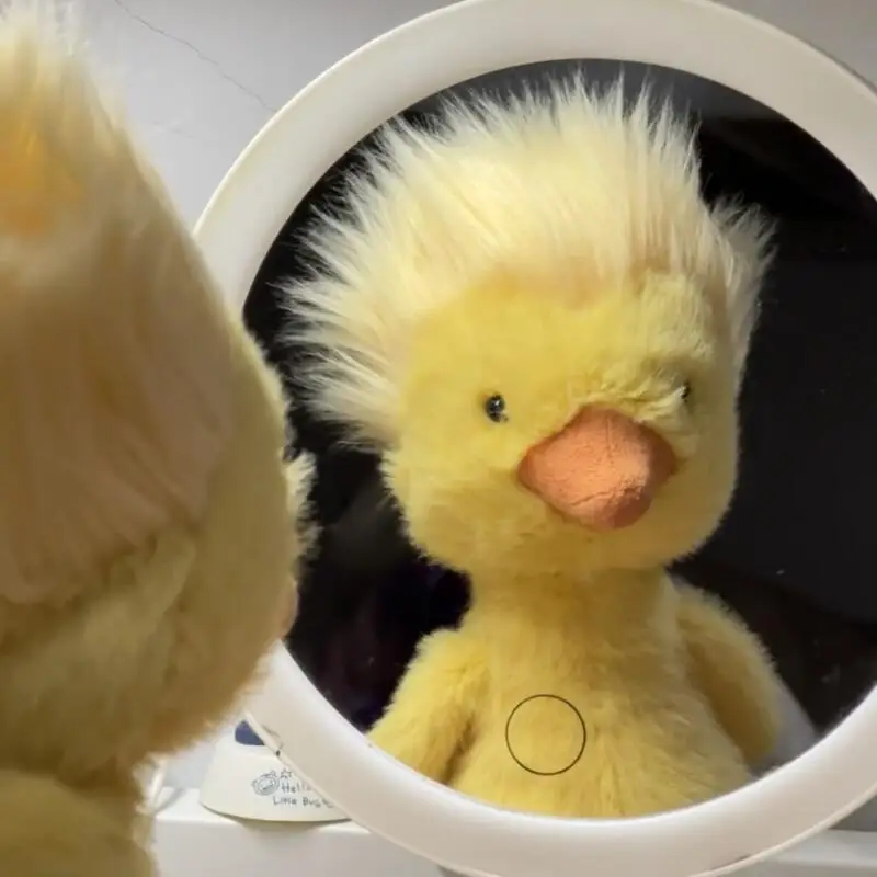 Fried Duck Plush Toy Ugly Cute Plush Toy with Sunglasses Ugly Cute Duck Plush Toy Children Birthday Gift
Fried Duck Plush Toy Ugly Cute Plush Toy with Sunglasses Ugly Cute Duck Plush Toy Children Birthday Gift