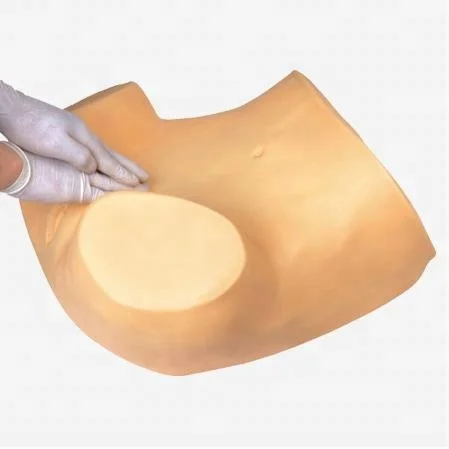 Gynecological Examination Simulator,Vaginal examination,GYN Skills Teaching
Gynecological Examination Simulator,Vaginal examination,GYN Skills Teaching