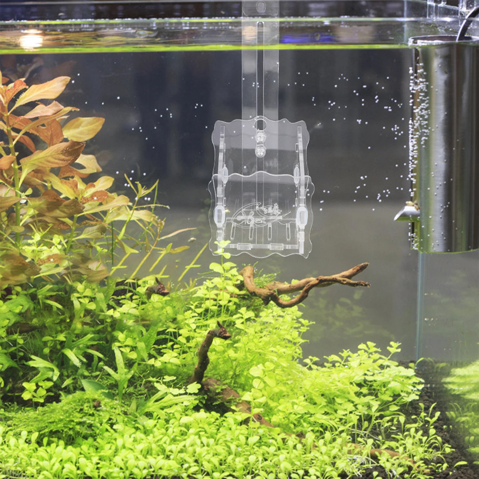 Fish Tank Planter Aquarium Planter Aquatic Holder Clear Transparent Acrylic Water Plant Cup Easy Install Hook Suction Cup
Fish Tank Planter Aquarium Planter Aquatic Holder Clear Transparent Acrylic Water Plant Cup Easy Install Hook Suction Cup