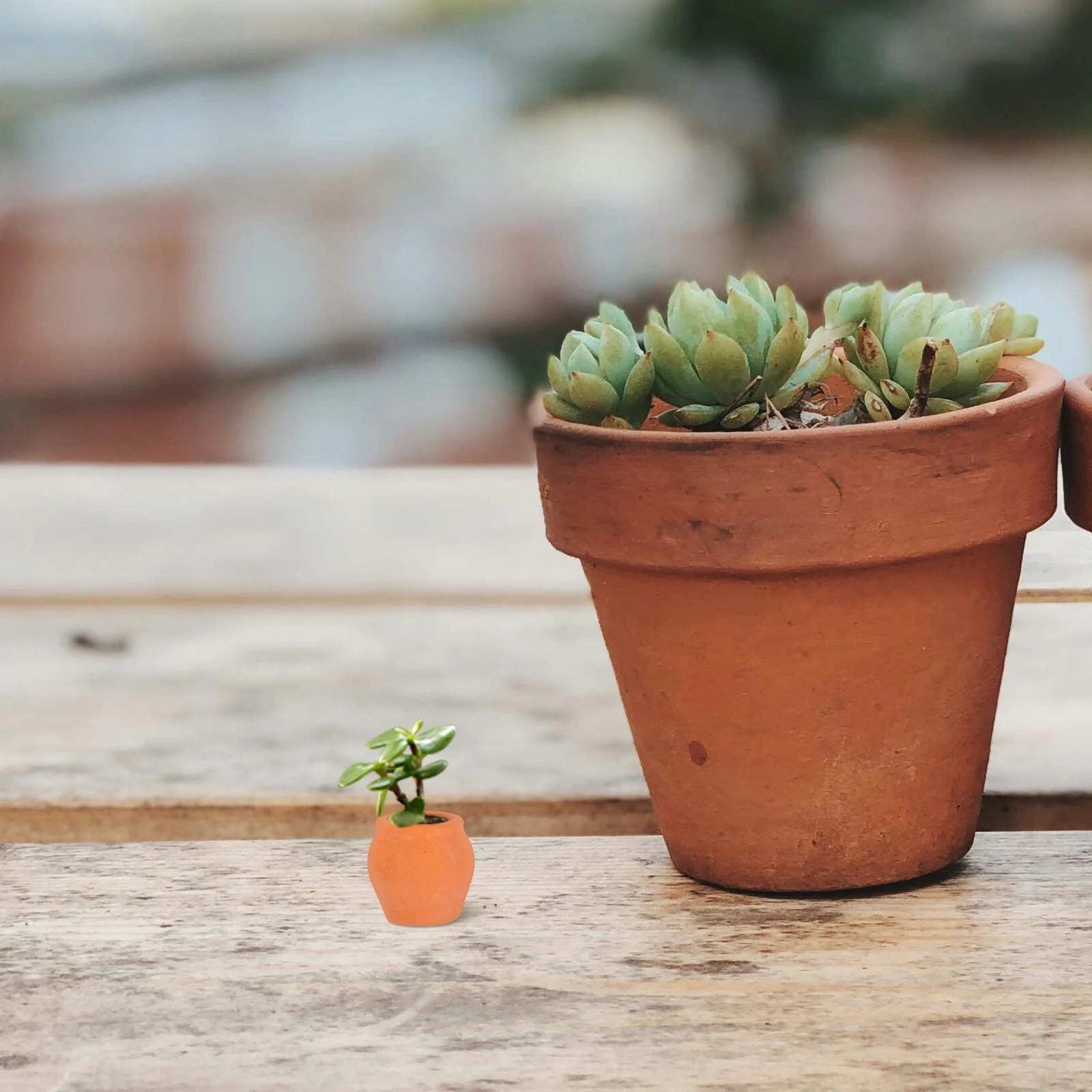 4 Pcs Mini Succulent Nursery Pots Small Space Planters Decorative Thumb Flowerpot Waterproof Easy Use Tiny
4 Pcs Mini Succulent Nursery Pots Small Space Planters Decorative Thumb Flowerpot Waterproof Easy Use Tiny
