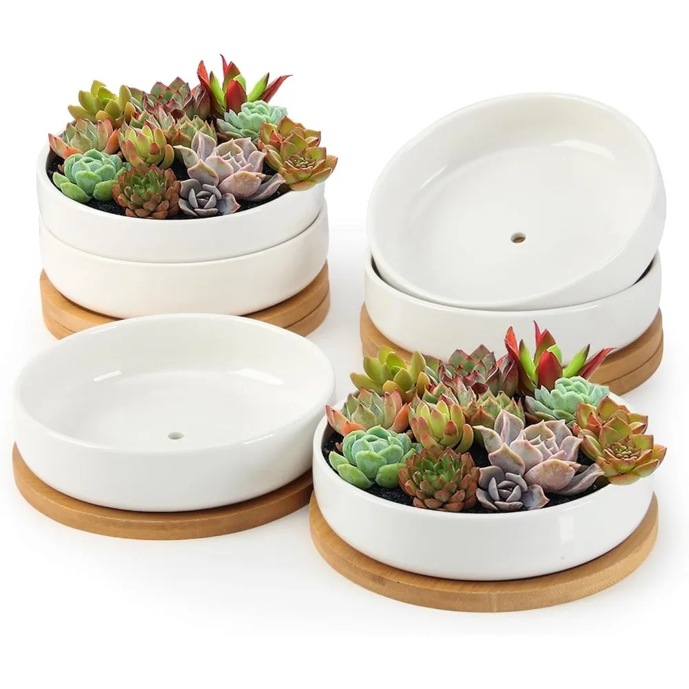 6-дюймовые белые керамические сочные горшки с дренажным поддоном, круглые неглубокие цветочные горшки для комнатных растений, 6 шт.
6-дюймовые белые керамические сочные горшки с дренажным поддоном, круглые неглубокие цветочные горшки для комнатных растений, 6 шт.