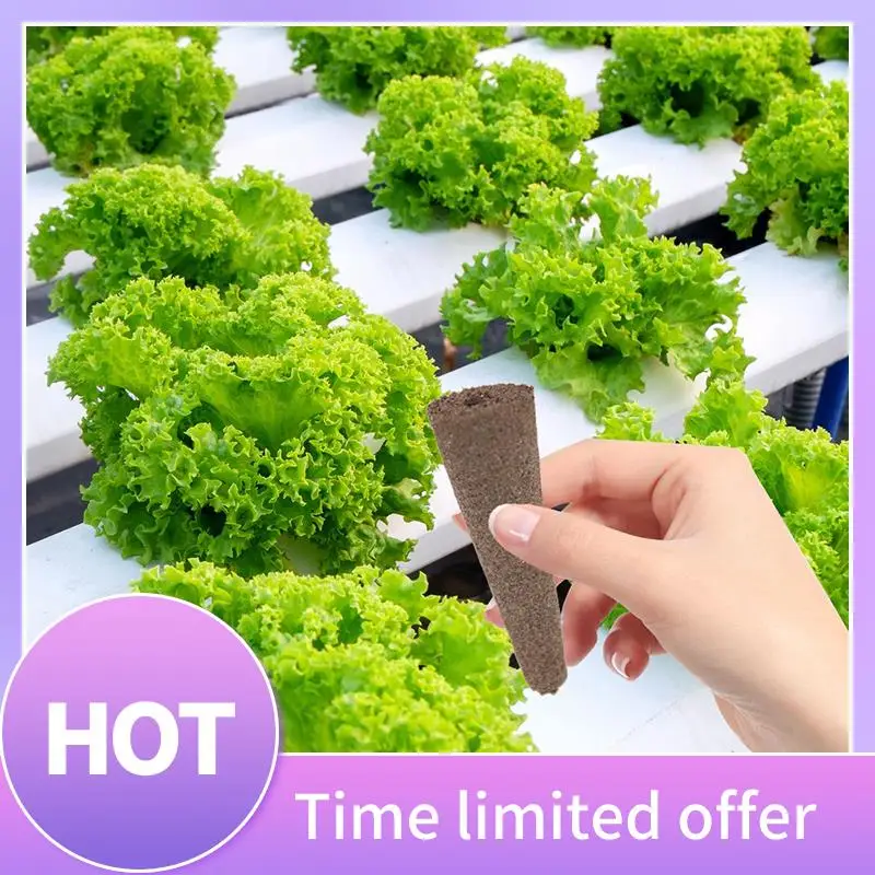 B69C Grow Baskets, Hydroponic Seed Starter Pods Baskets Replacement Compatible Hydroponic Growing System Durable Transparent
B69C Grow Baskets, Hydroponic Seed Starter Pods Baskets Replacement Compatible Hydroponic Growing System Durable Transparent