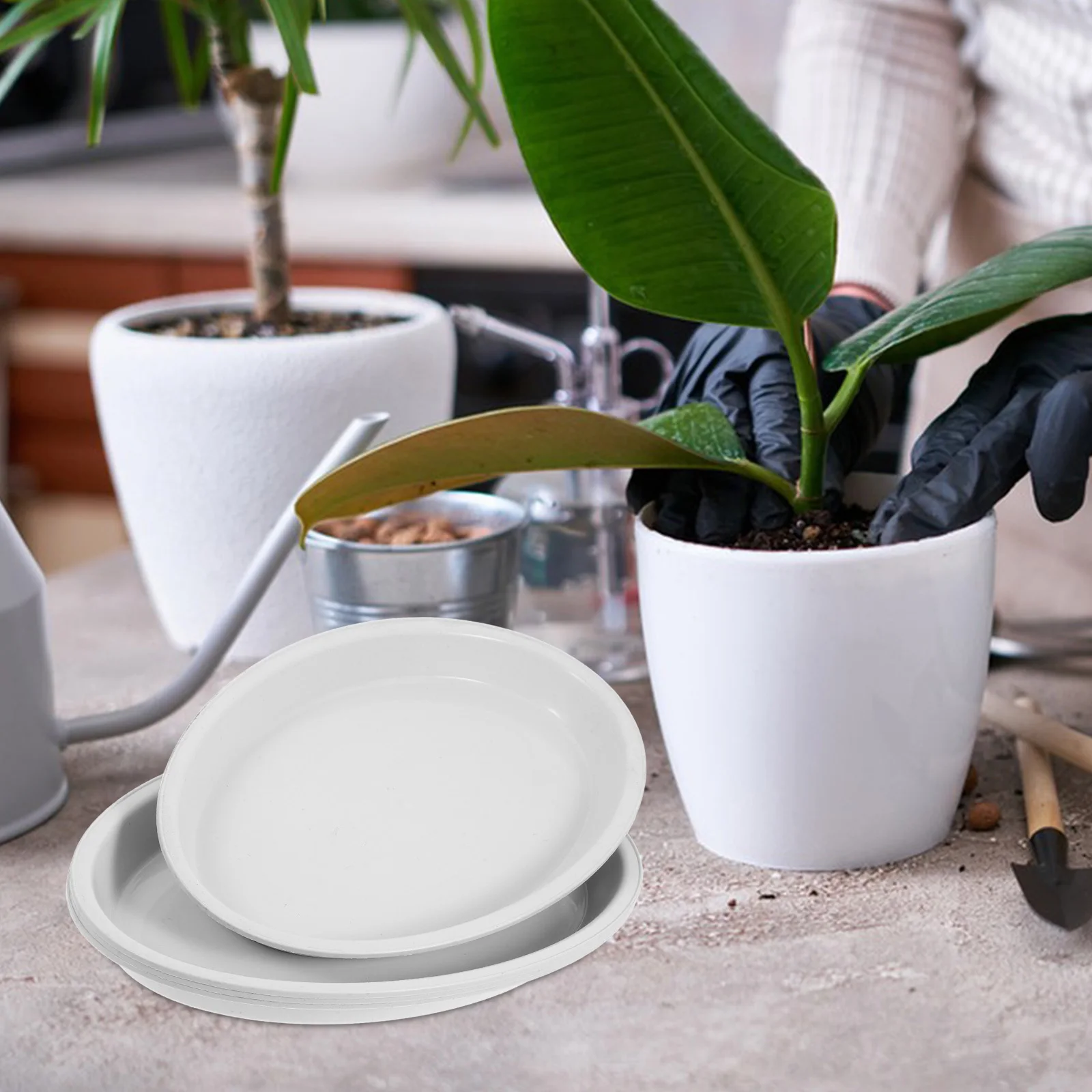 4 Pcs Flower Pot Mat Oval Shape Water Catching Saucer Durable PP Plant Trays Green Bonsai Gardening
4 Pcs Flower Pot Mat Oval Shape Water Catching Saucer Durable PP Plant Trays Green Bonsai Gardening