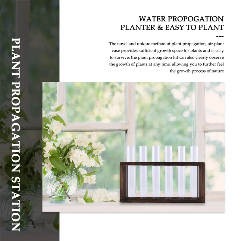 AB09-Plant Terrarium With Wooden Stand, Desktop/Wall Hanging Live Plant Propagation Station Planters Glass Tubes Hydroponic
AB09-Plant Terrarium With Wooden Stand, Desktop/Wall Hanging Live Plant Propagation Station Planters Glass Tubes Hydroponic
