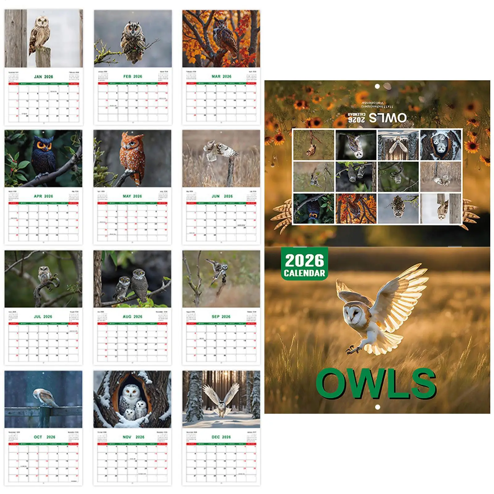 2026 Wall Calendar Year Planner Calendar 2026 Personal Time Management Planner Offices Supplies For To-Do List Goals Organizing
2026 Wall Calendar Year Planner Calendar 2026 Personal Time Management Planner Offices Supplies For To-Do List Goals Organizing