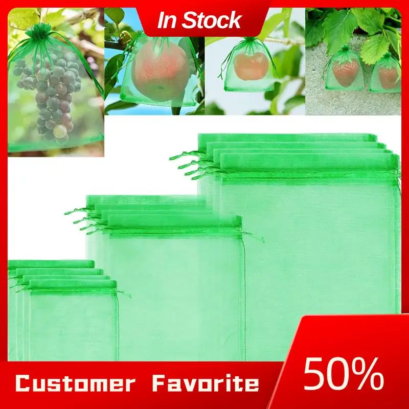 AT03 Top Garden Netting Bags For Fruit Cover Mesh Bag Garden Netting Bags With Drawstring 150Pcs
AT03 Top Garden Netting Bags For Fruit Cover Mesh Bag Garden Netting Bags With Drawstring 150Pcs