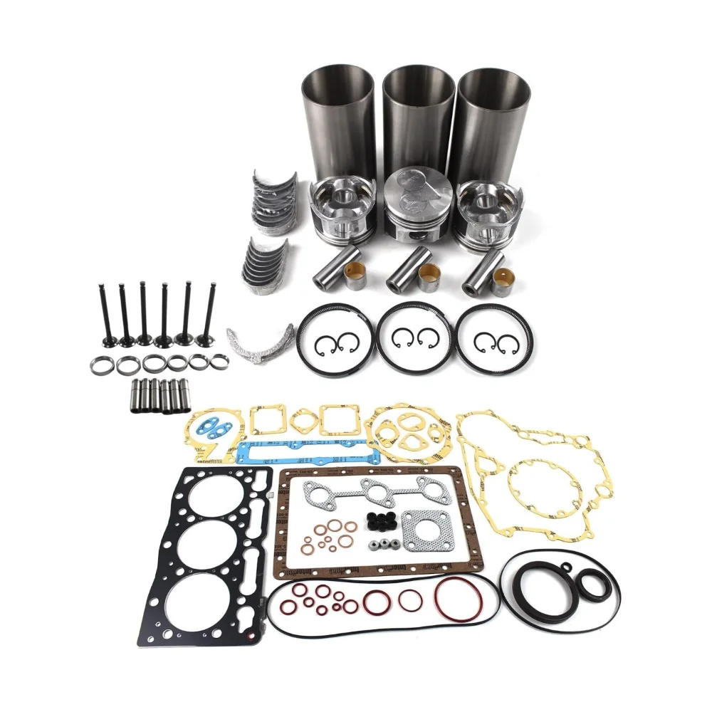 Overhaul Rebuild Kit for Shibaura N843-C N843-D Engine Perkins 403C-15
Overhaul Rebuild Kit for Shibaura N843-C N843-D Engine Perkins 403C-15