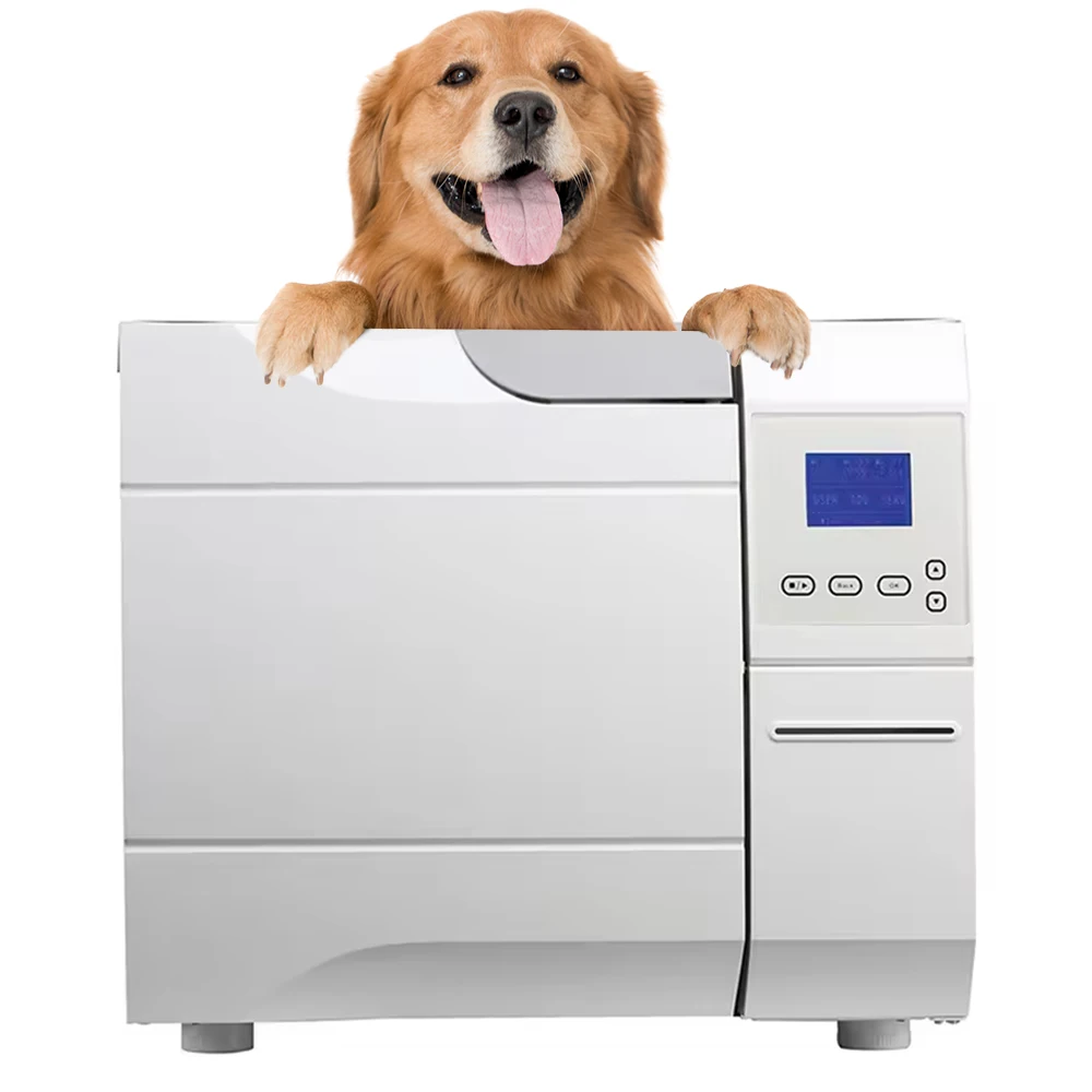 CE Approved Sterilization Equipment den tal High Pressure Lab Use Steam Sterilizer Medical Autoclaves for Veterinary Office
CE Approved Sterilization Equipment den tal High Pressure Lab Use Steam Sterilizer Medical Autoclaves for Veterinary Office