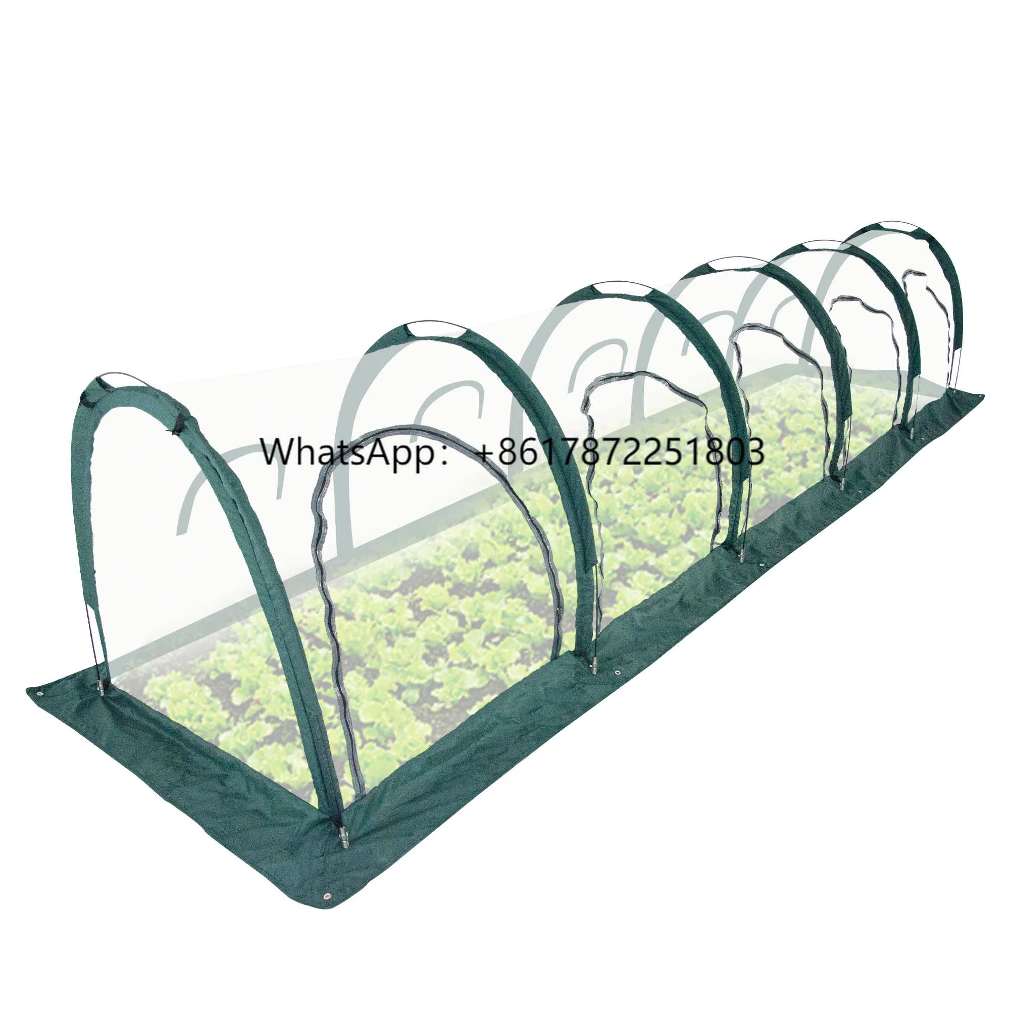 GREENHOUSES for OUTDOORS Transparent Portable Mini Greenhouse Indoor Pop up Green House, Portable Greenhouse, Mini Greenhouse
GREENHOUSES for OUTDOORS Transparent Portable Mini Greenhouse Indoor Pop up Green House, Portable Greenhouse, Mini Greenhouse
