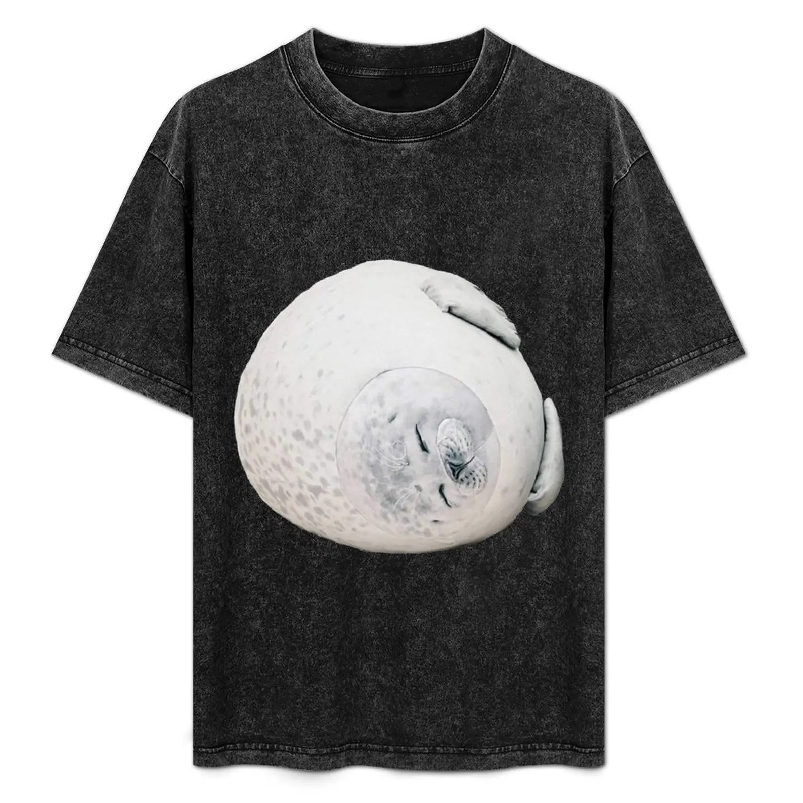Chonky Seal 2 T-Shirt funny meme t-shirts tshirts personalised tops mens white t shirts
Chonky Seal 2 T-Shirt funny meme t-shirts tshirts personalised tops mens white t shirts