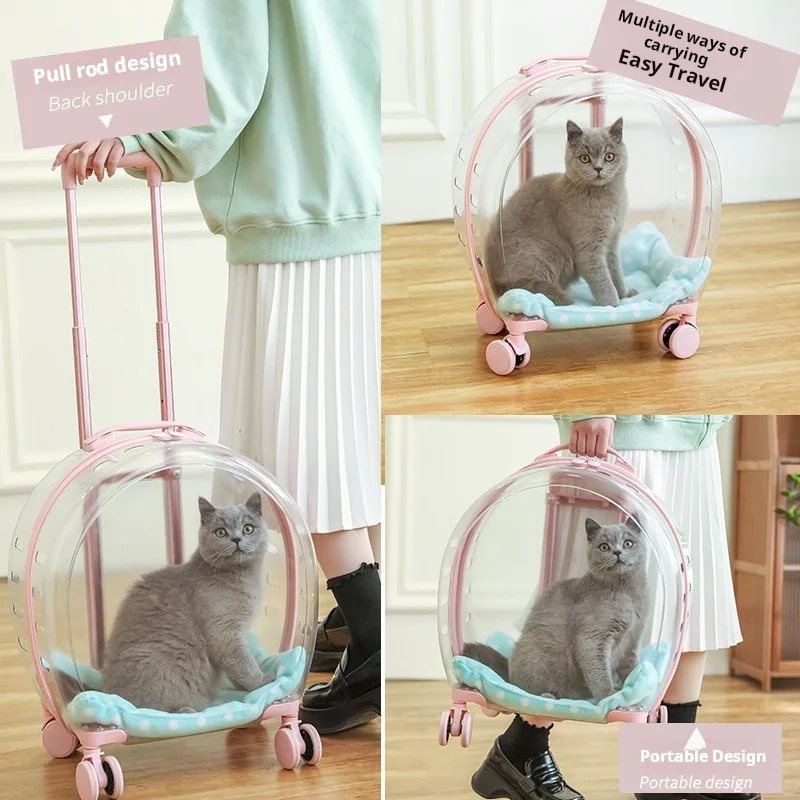 Pet Carrier Luggage Box for Small Animals Suitable for Cats Dogs And Reptiles Pet Transport Supplies
Pet Carrier Luggage Box for Small Animals Suitable for Cats Dogs And Reptiles Pet Transport Supplies