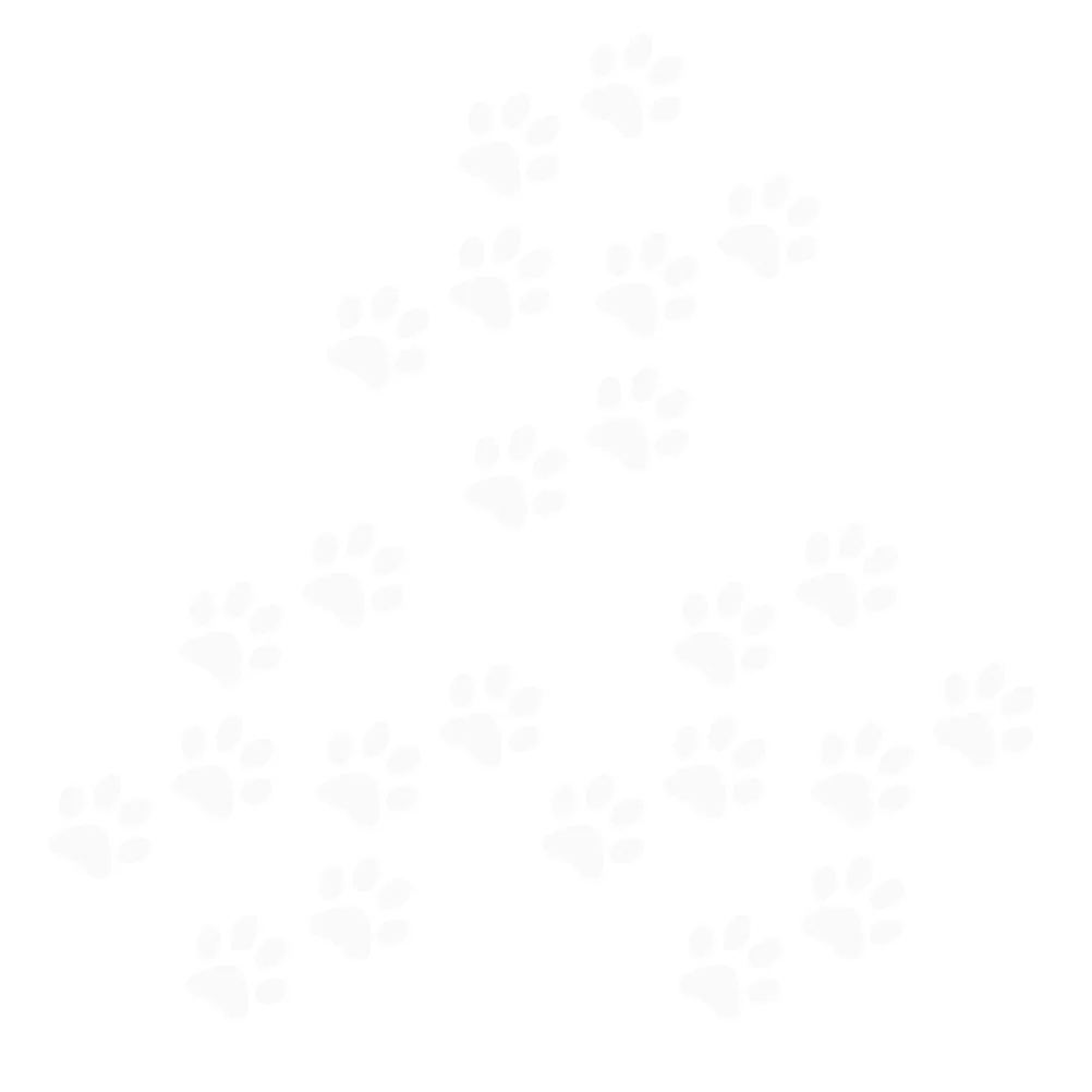 24Pcs Cat Footprint Car Body Sticker Reusable Non Damage Removable Decal for Vehicle Decoration Fun Design Car Decorative Decal
24Pcs Cat Footprint Car Body Sticker Reusable Non Damage Removable Decal for Vehicle Decoration Fun Design Car Decorative Decal