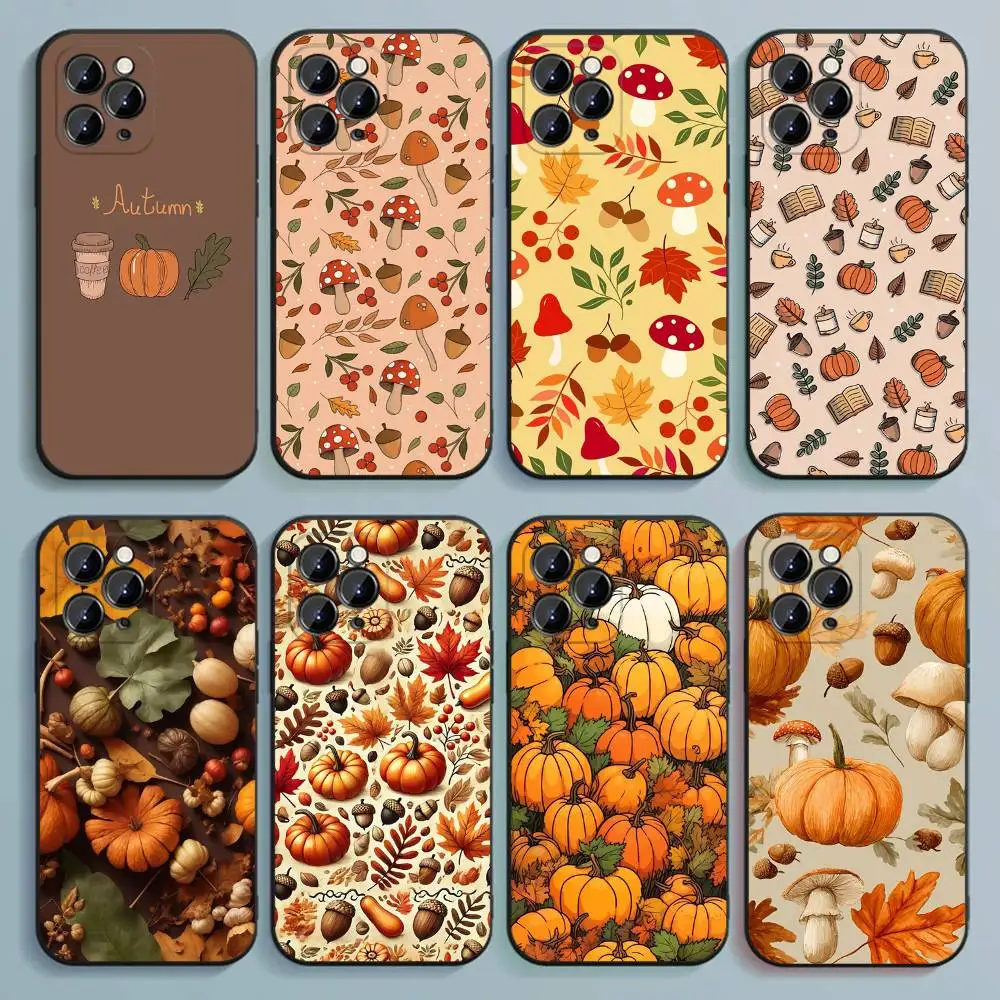 Autumn leaves pumpkin Phone Case For iPhone 17,16,15,14,13,12,Pro,Max,Plus,E,SE4,Air,Mini Black Soft Cover
Autumn leaves pumpkin Phone Case For iPhone 17,16,15,14,13,12,Pro,Max,Plus,E,SE4,Air,Mini Black Soft Cover