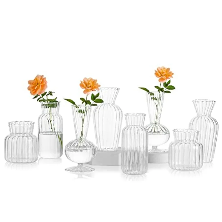 Mini Glass Vases for Centerpieces - Clear Small Bud Vases in Bulk Cute Flower Vases Set for Wedding Home Decoration Table Decor
Mini Glass Vases for Centerpieces - Clear Small Bud Vases in Bulk Cute Flower Vases Set for Wedding Home Decoration Table Decor