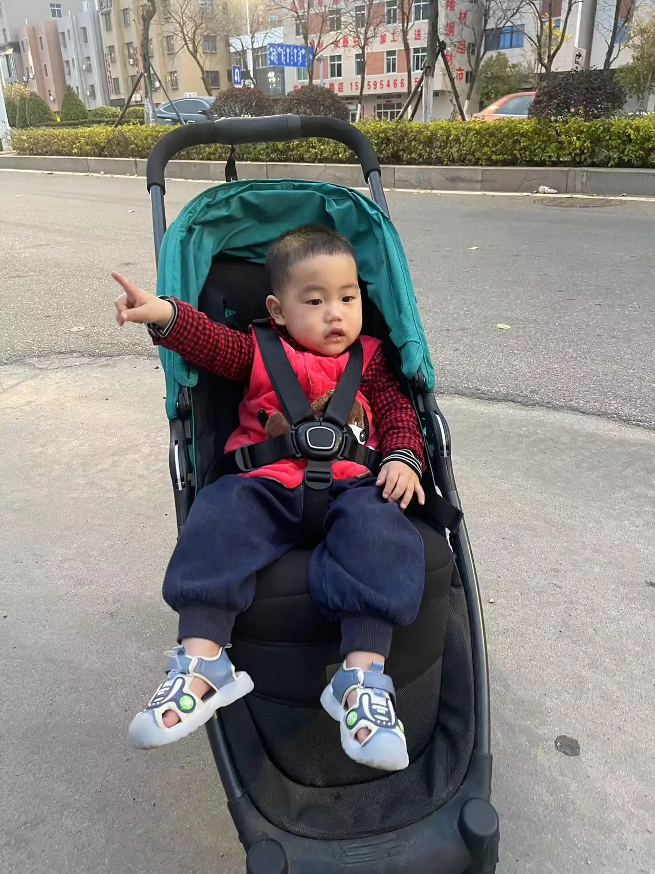 5 point harness for Mamas & Papas Armadillo Flip XT2 XT3 Ocarro Urbo Sola puschahir stroller HARNESS STRAP
5 point harness for Mamas & Papas Armadillo Flip XT2 XT3 Ocarro Urbo Sola puschahir stroller HARNESS STRAP