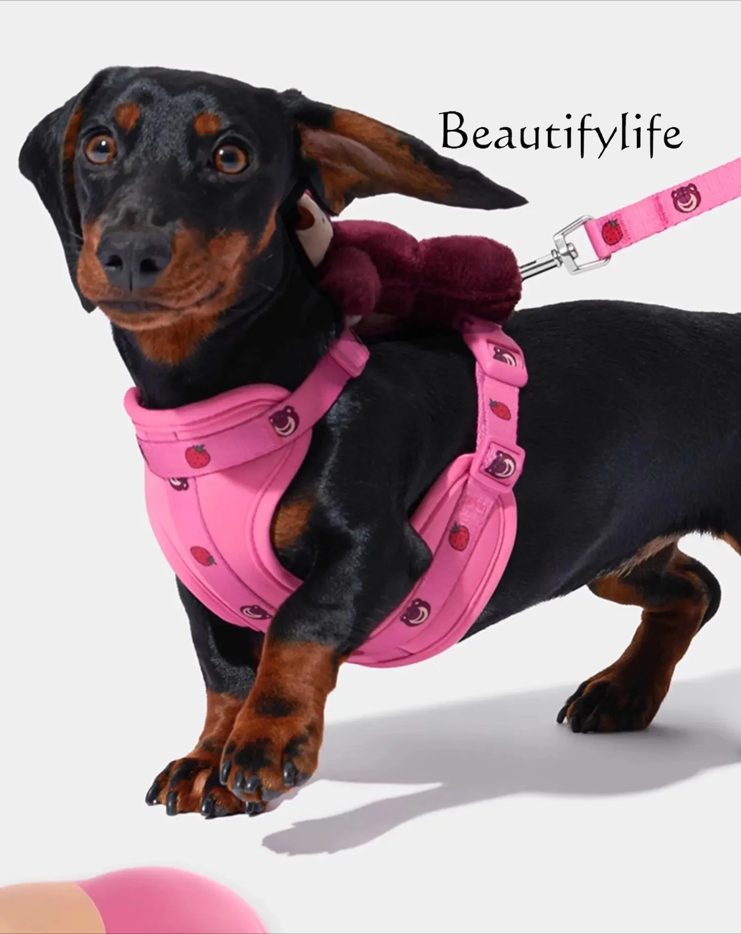 Chest and Back Haulage Rope Package Walking Dog Travel Pet Dog Rope Large, Medium and Small Dogs Portable
Chest and Back Haulage Rope Package Walking Dog Travel Pet Dog Rope Large, Medium and Small Dogs Portable