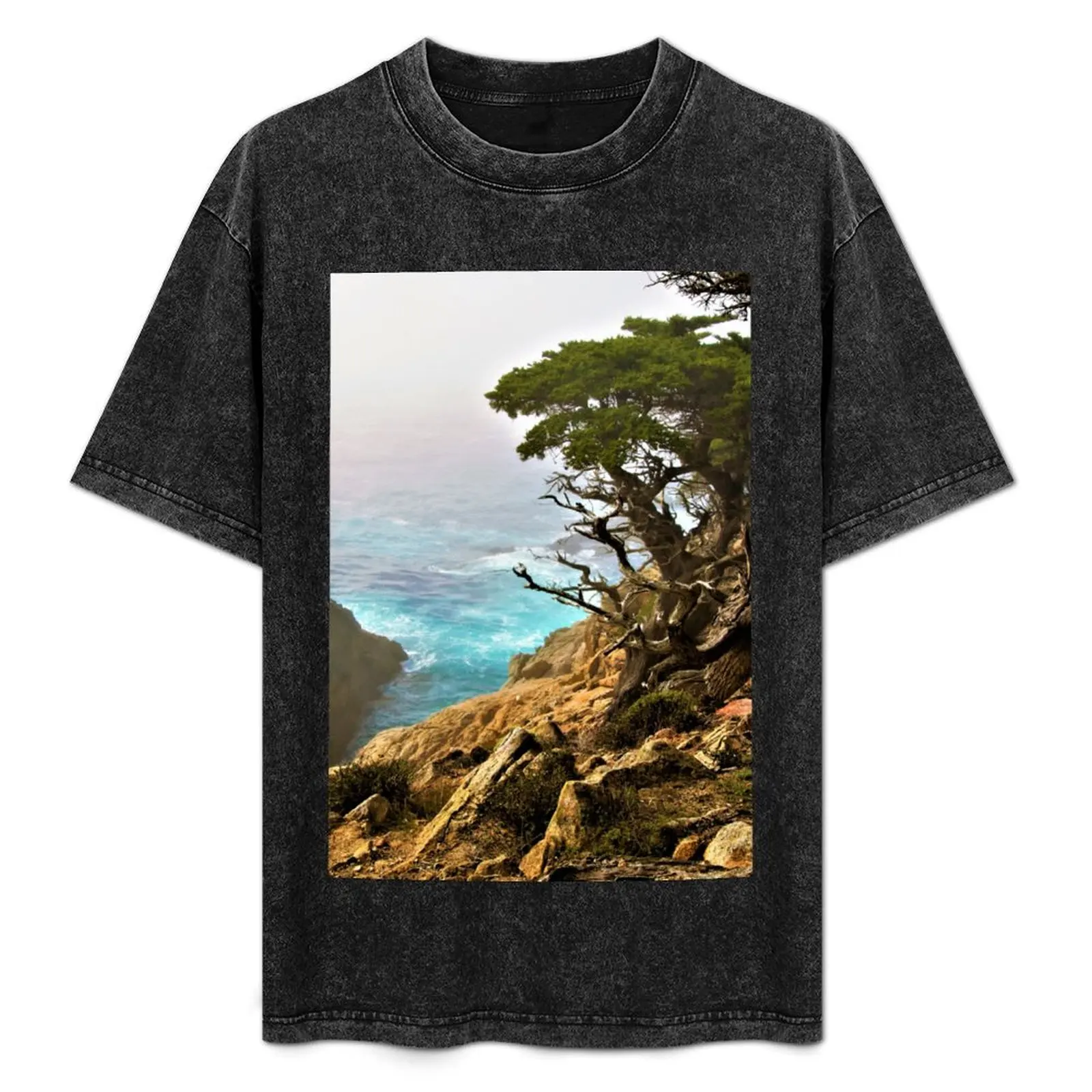 Old Cypress by the Sea T-Shirt animal prinfor boys anime figures boys animal print summer top mens vintage t shirts
Old Cypress by the Sea T-Shirt animal prinfor boys anime figures boys animal print summer top mens vintage t shirts
