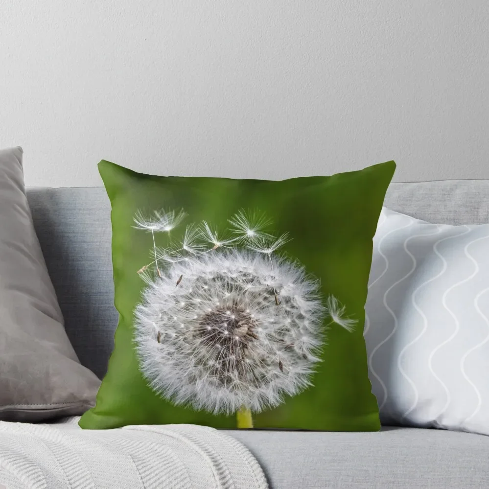 Gift idea dandelion photo Throw Pillow Luxury Cushion Cover Cushions For Sofa
Gift idea dandelion photo Throw Pillow Luxury Cushion Cover Cushions For Sofa