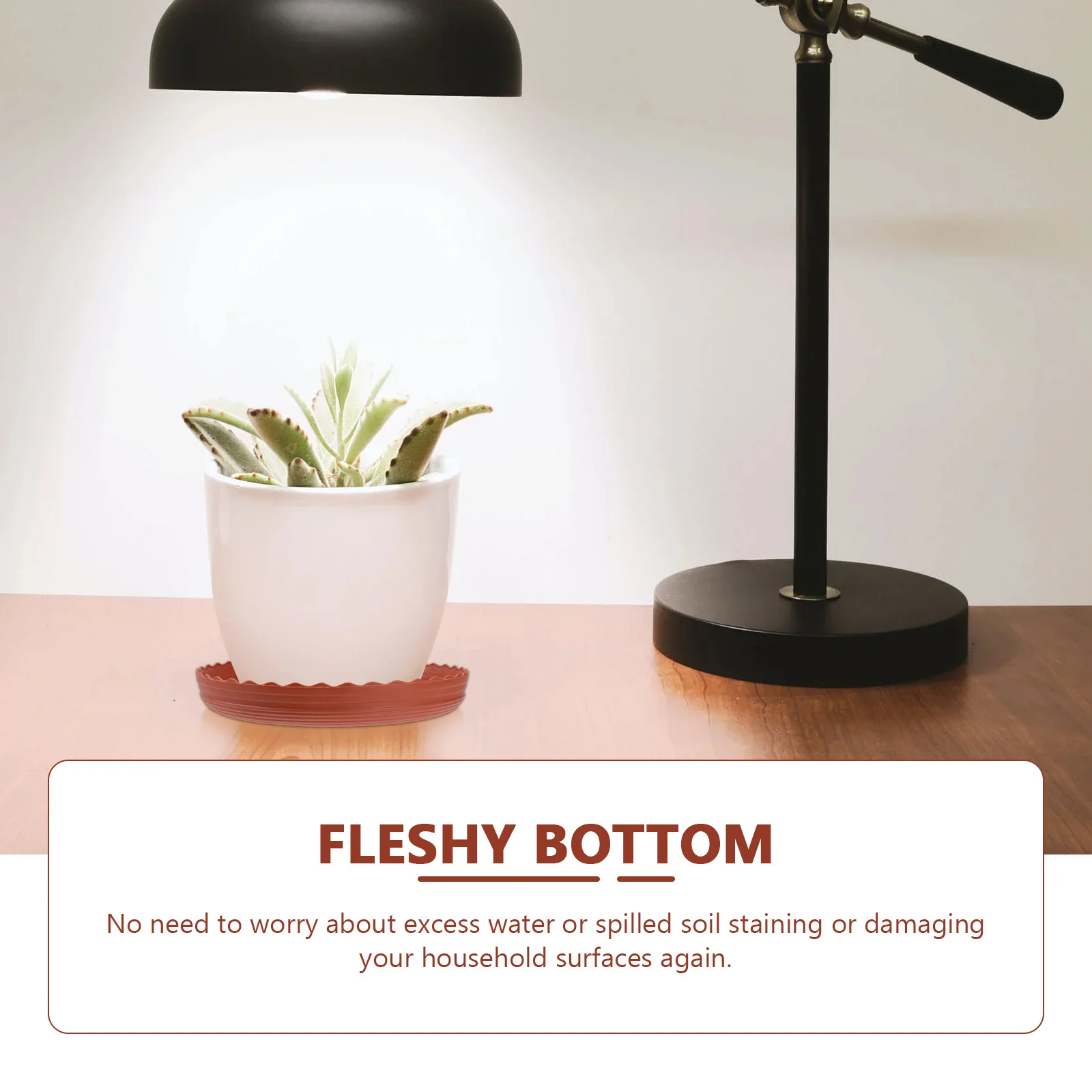 5Pcs Round Tray for Plant Pots Premium Resin Base for Succulents and Bonsai Flowerpots Drip Tray with Flat Bottom Non-Slip
5Pcs Round Tray for Plant Pots Premium Resin Base for Succulents and Bonsai Flowerpots Drip Tray with Flat Bottom Non-Slip