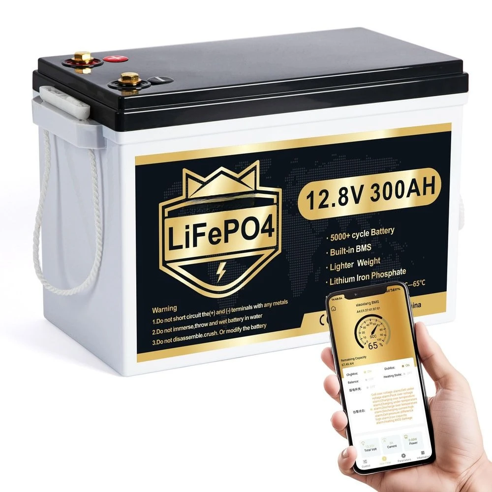 12V 300Ah LiFePO4 Lithium Battery, Bluetooth LifePO4 Battery, Upgraded 200A BMS, 3840Wh Rechargeable Lithium Battery with Low
12V 300Ah LiFePO4 Lithium Battery, Bluetooth LifePO4 Battery, Upgraded 200A BMS, 3840Wh Rechargeable Lithium Battery with Low